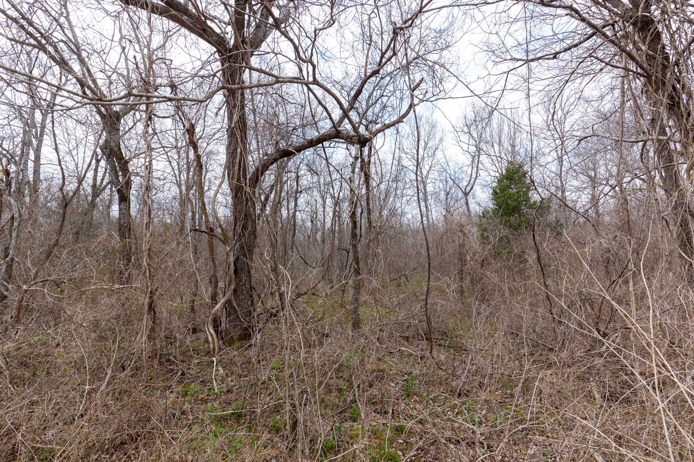 Stone Bridge Phase III Tract 156 photo 10