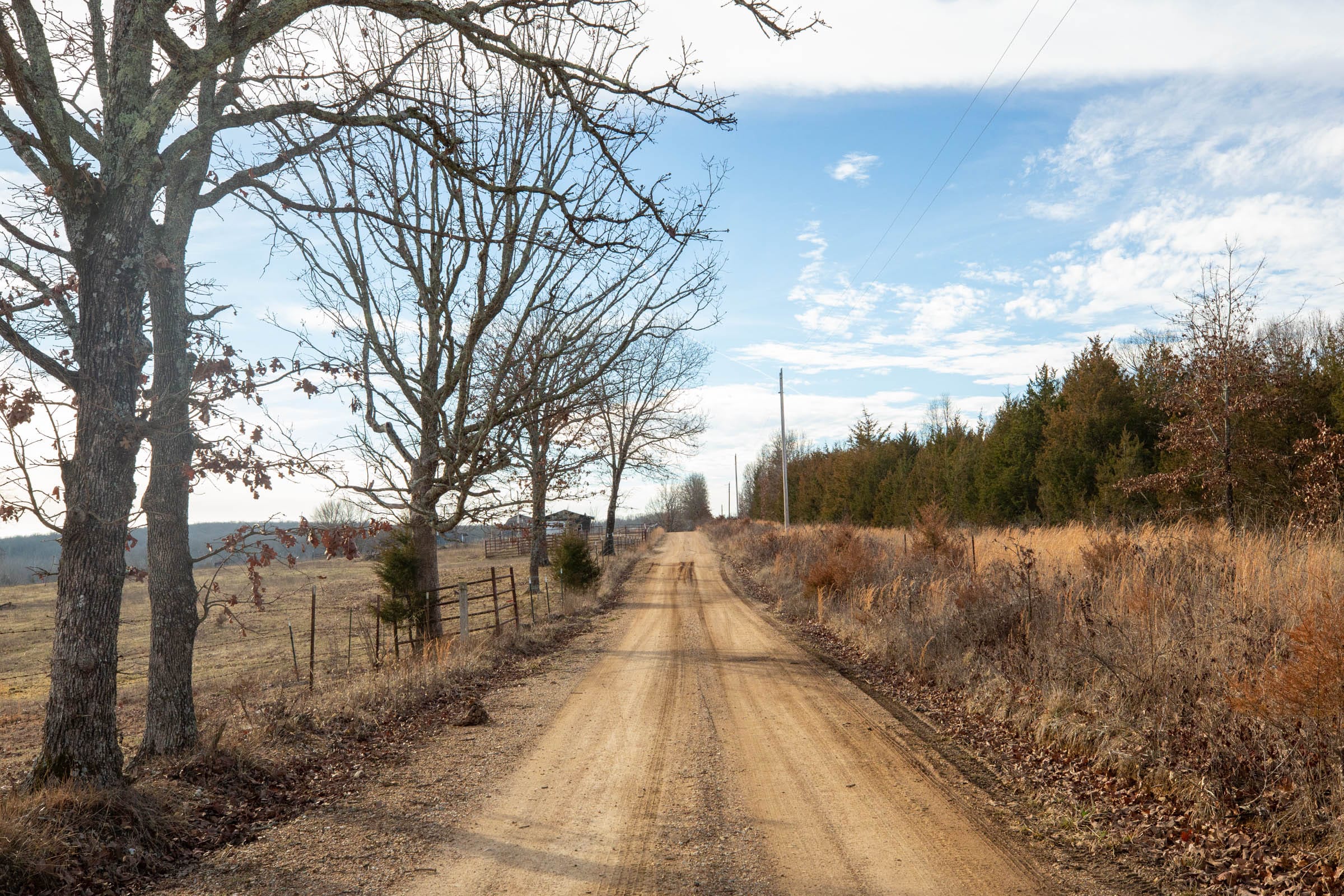 Forest Hill Tract 5 photo 1