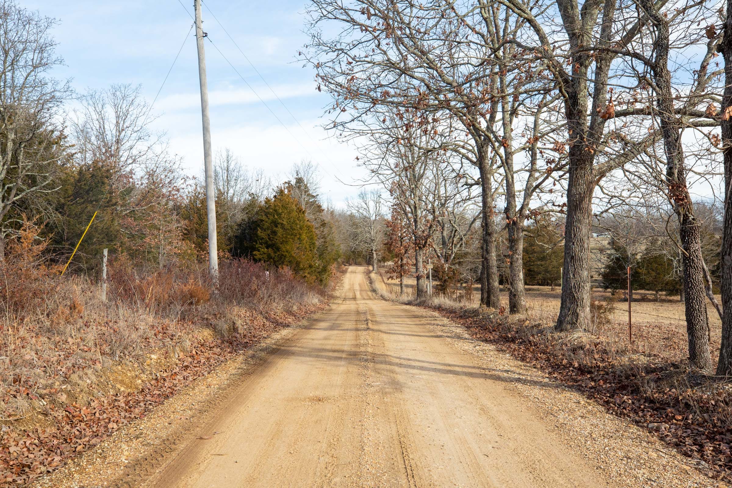 Forest Hill Tract 5 photo 7