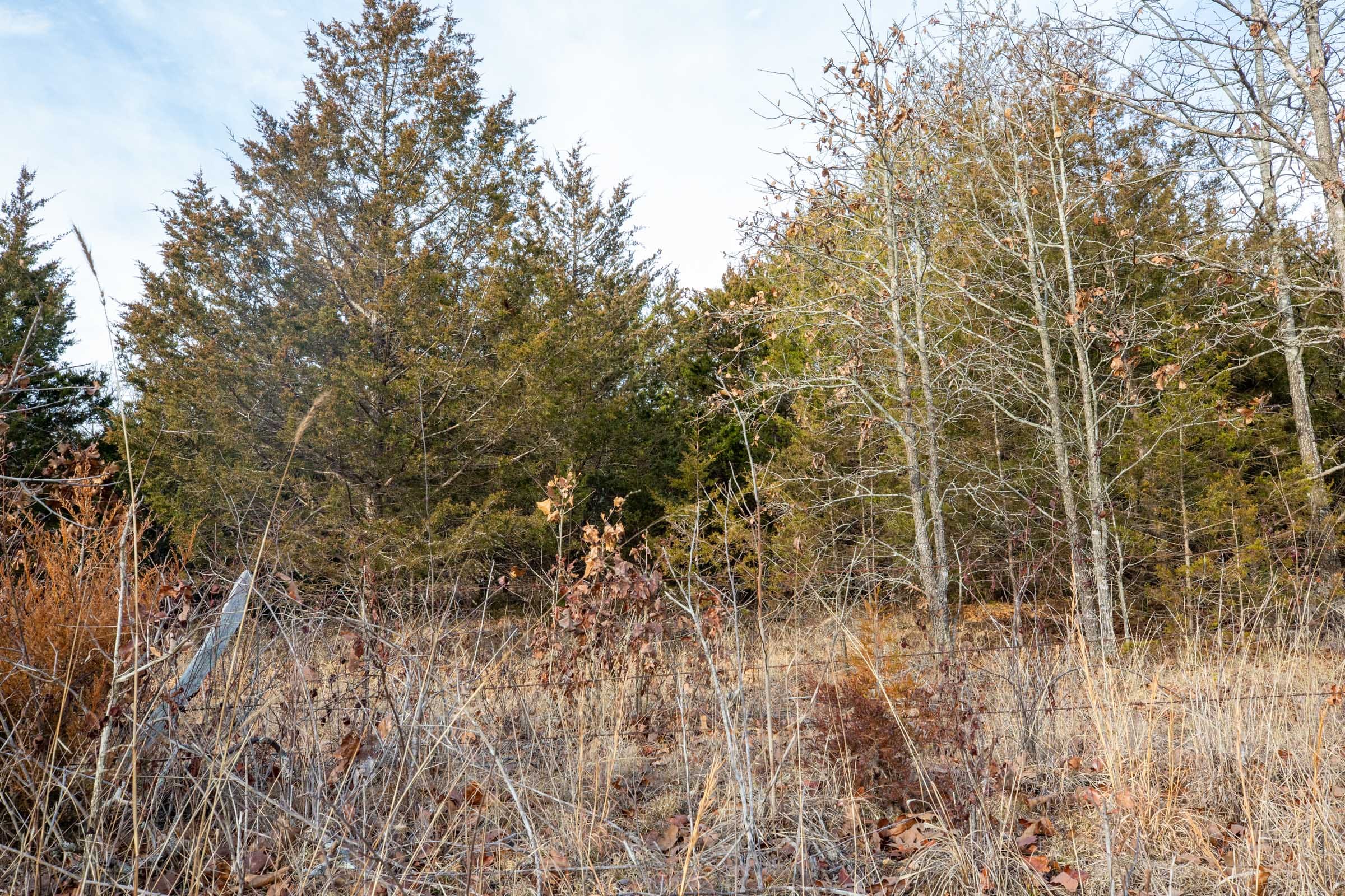 Forest Hill Tract 5 photo 10