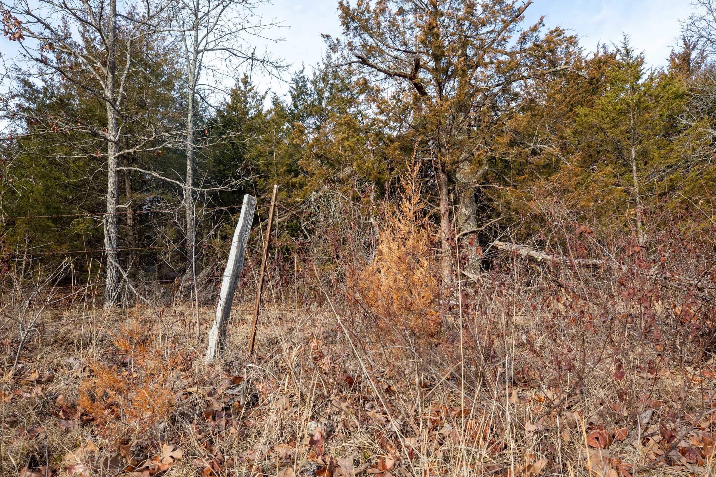 Forest Hill Tract 5 photo 3