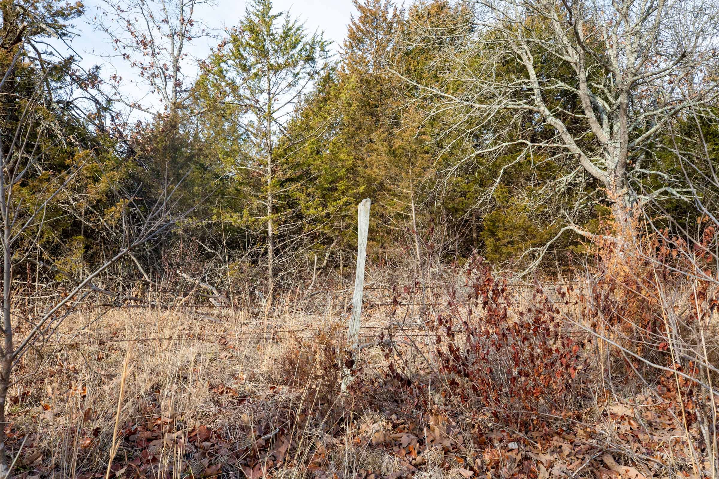 Forest Hill Tract 5 photo 8