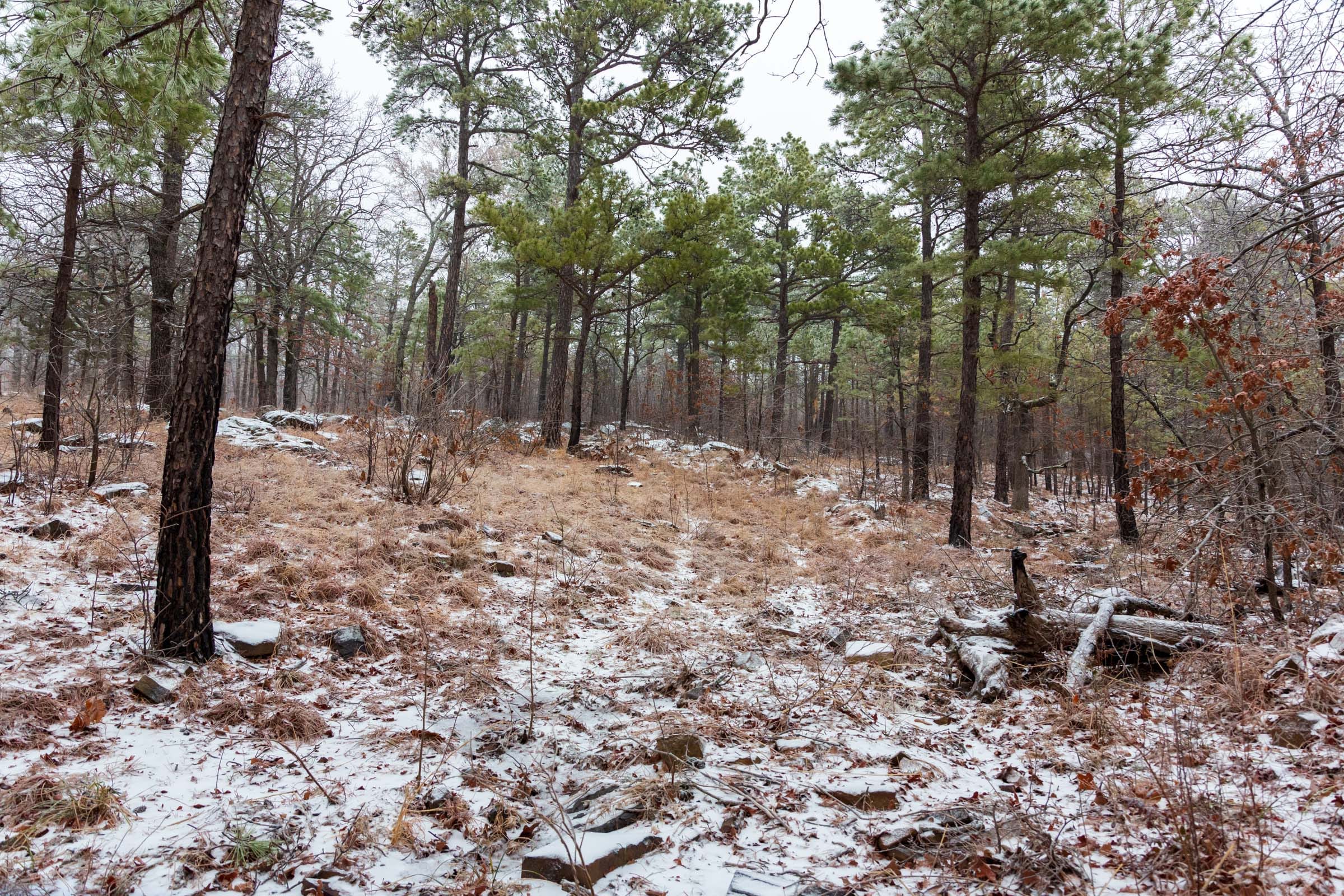 Stone Bridge Phase IV Tract 308 photo 10