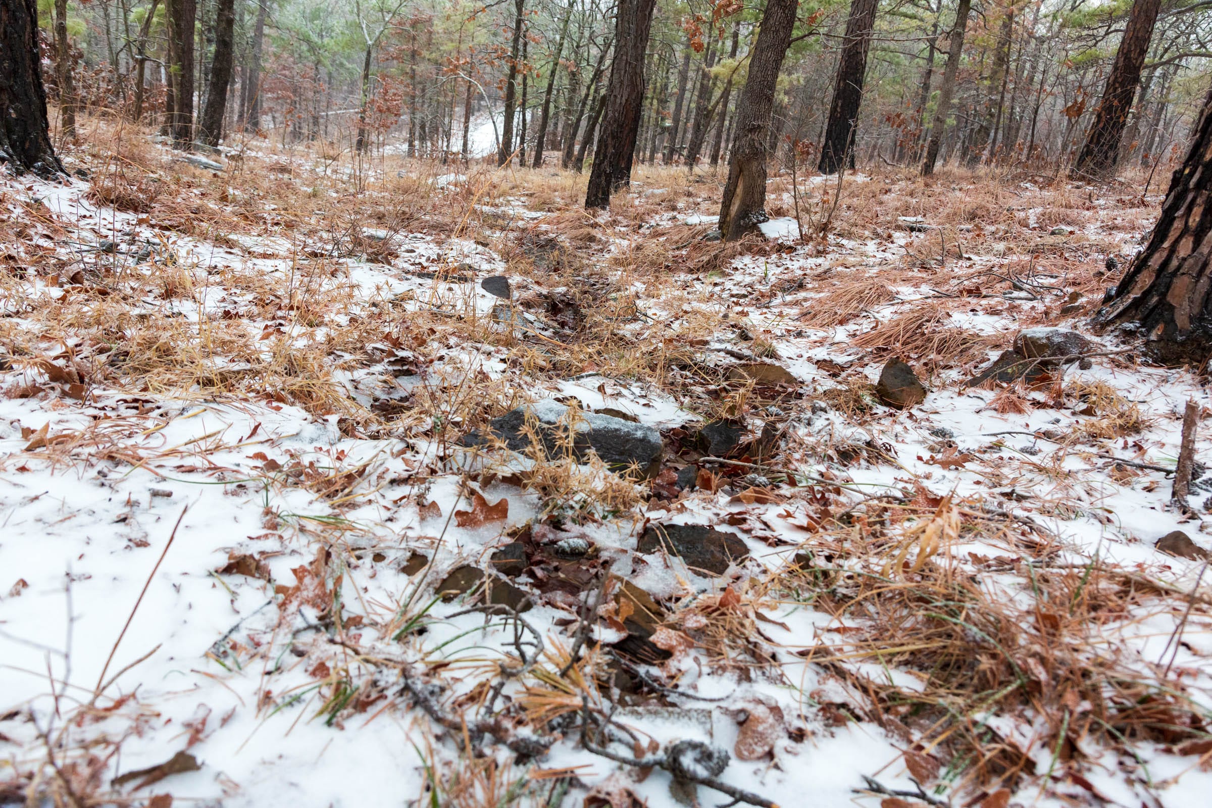 Stone Bridge Phase IV Tract 308 photo 11