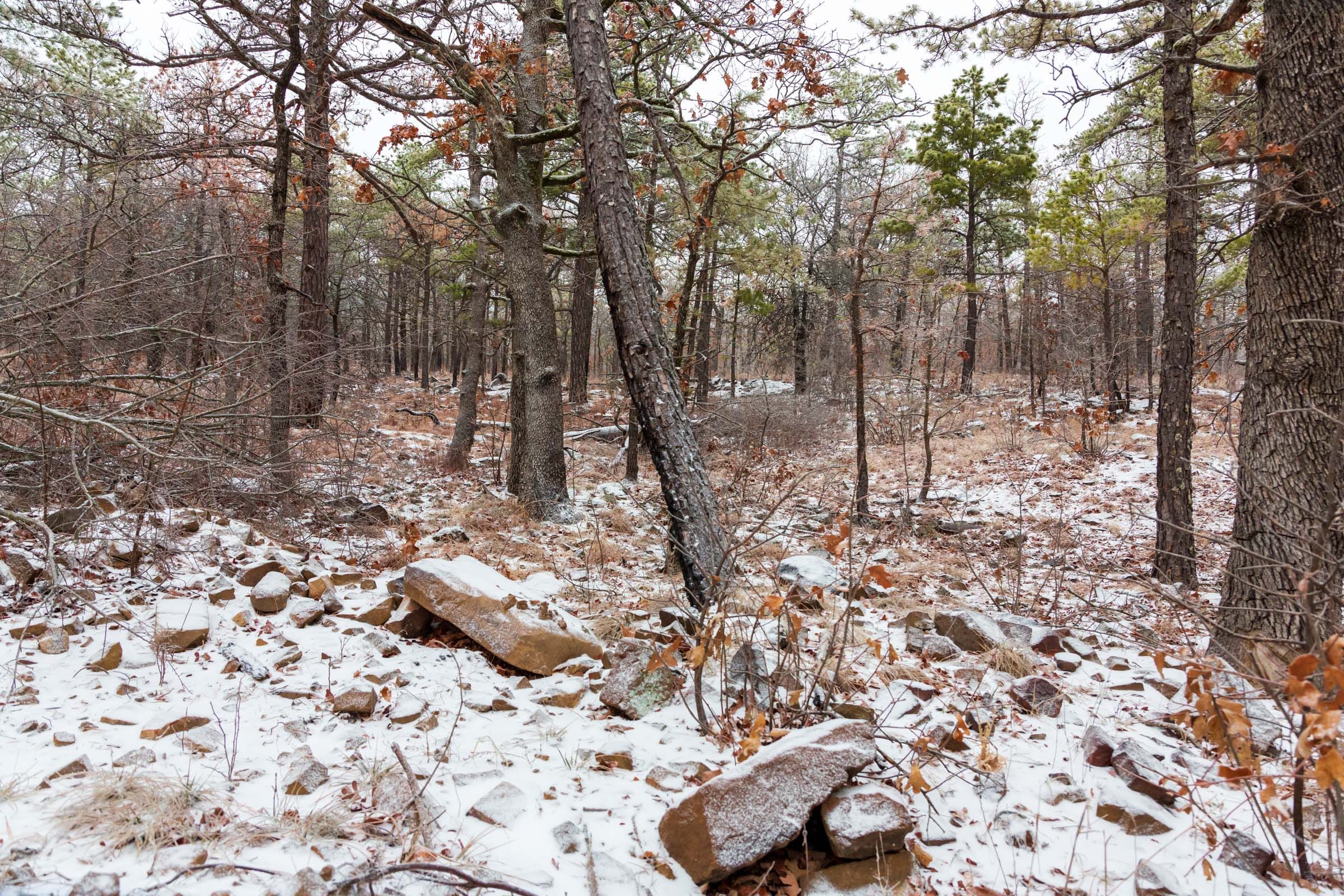 Stone Bridge Phase IV Tract 308 photo 19