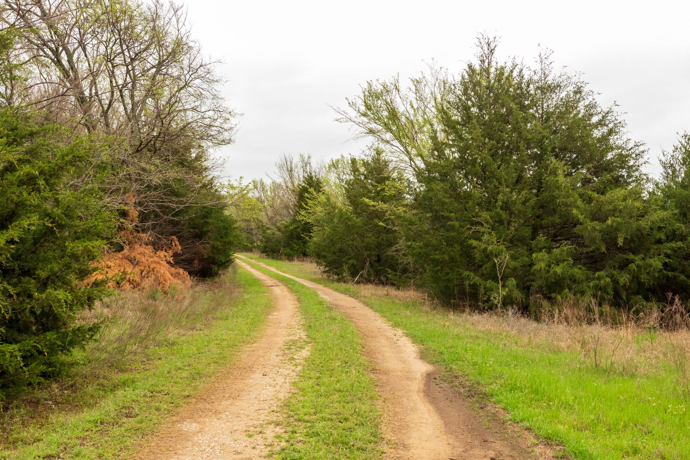 Moonrise Meadows Tract 19 photo 15