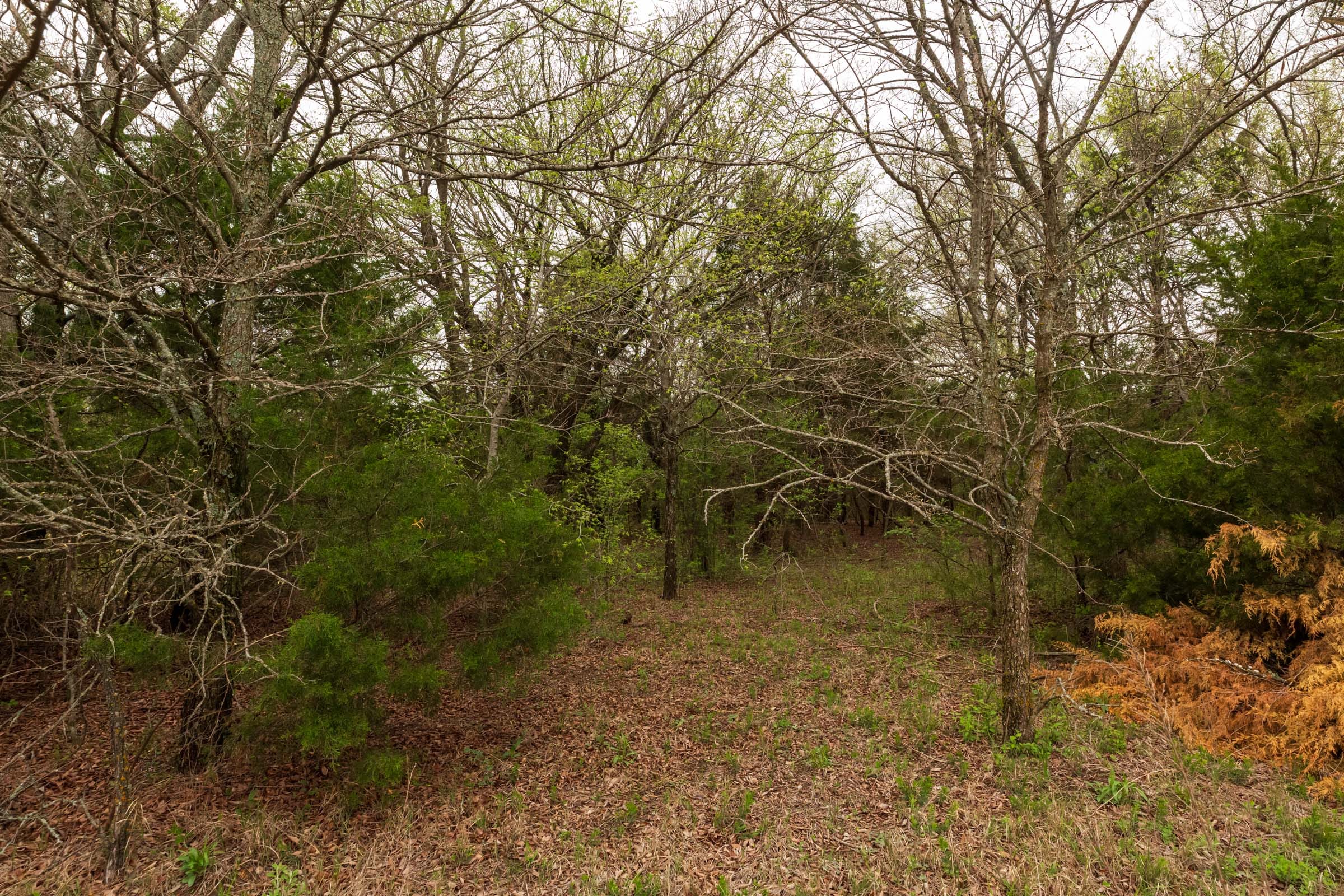 Moonrise Meadows Tract 19 photo 4