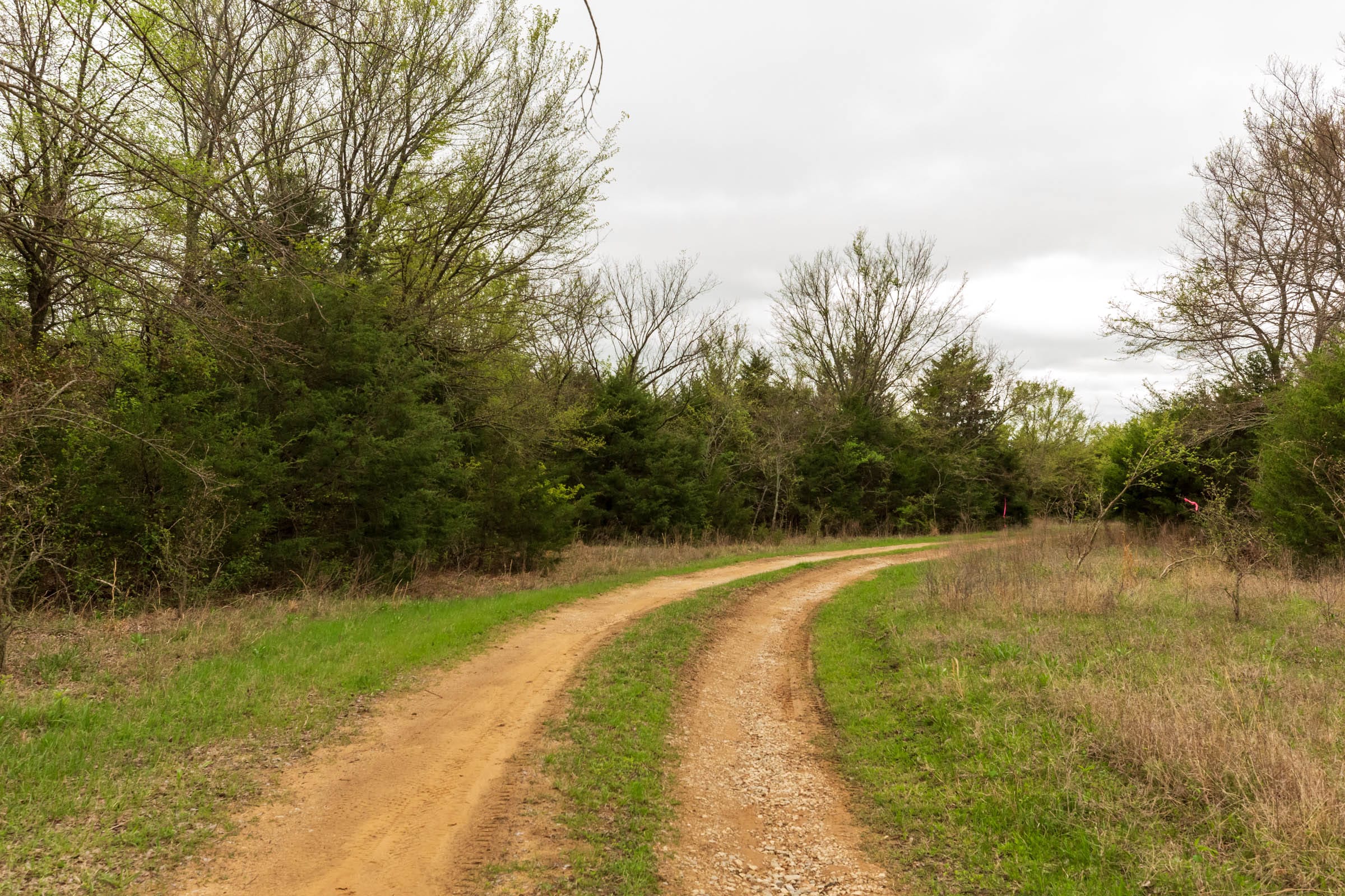 Moonrise Meadows Tract 19 photo 13