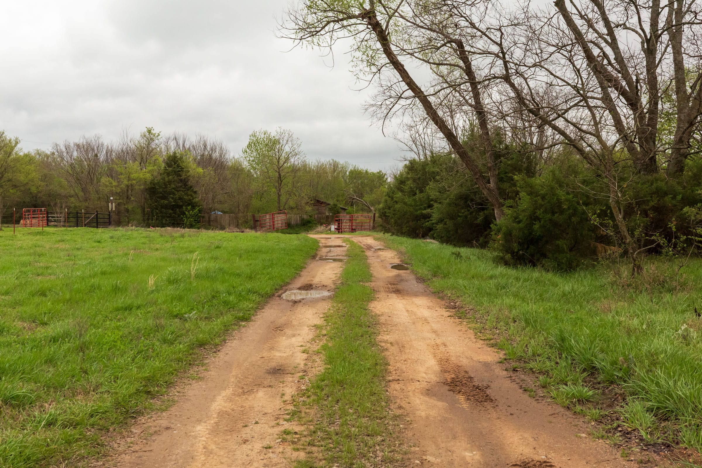 Moonrise Meadows Tract 19 photo 1