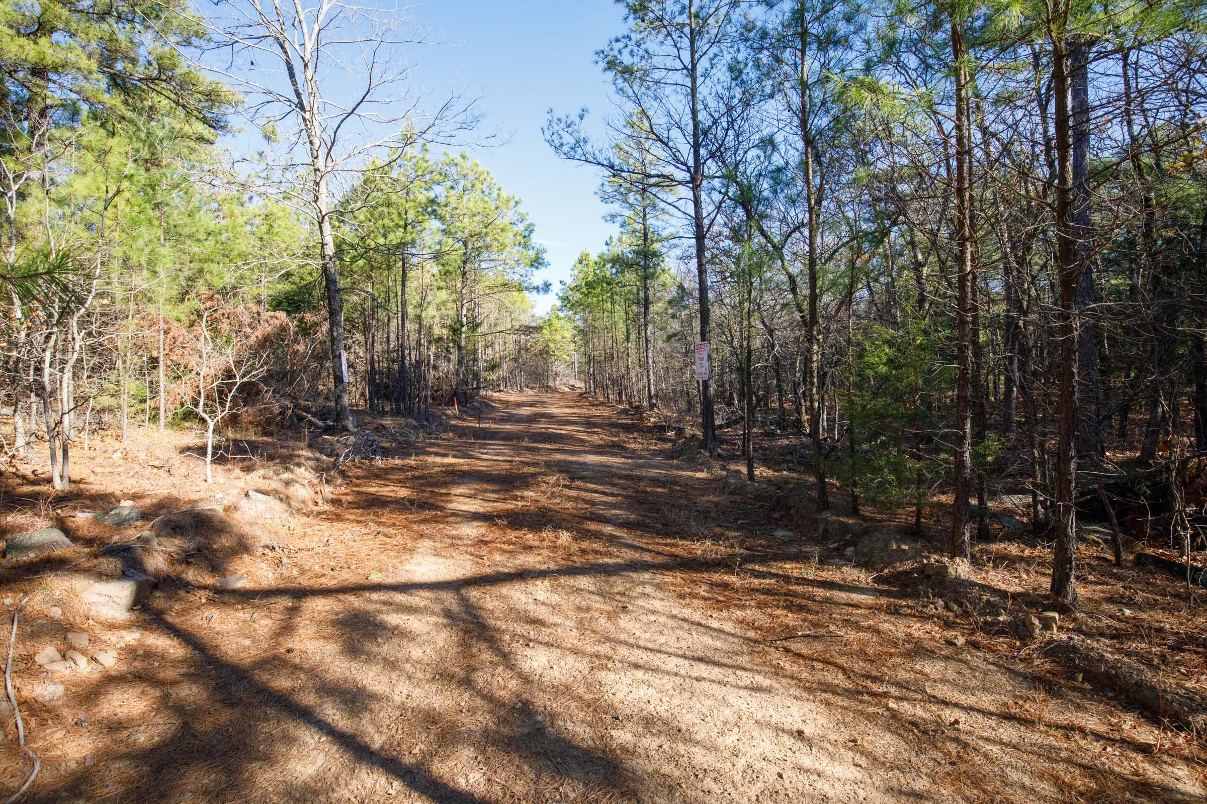 Stone Bridge Phase II Tract 105 photo 1