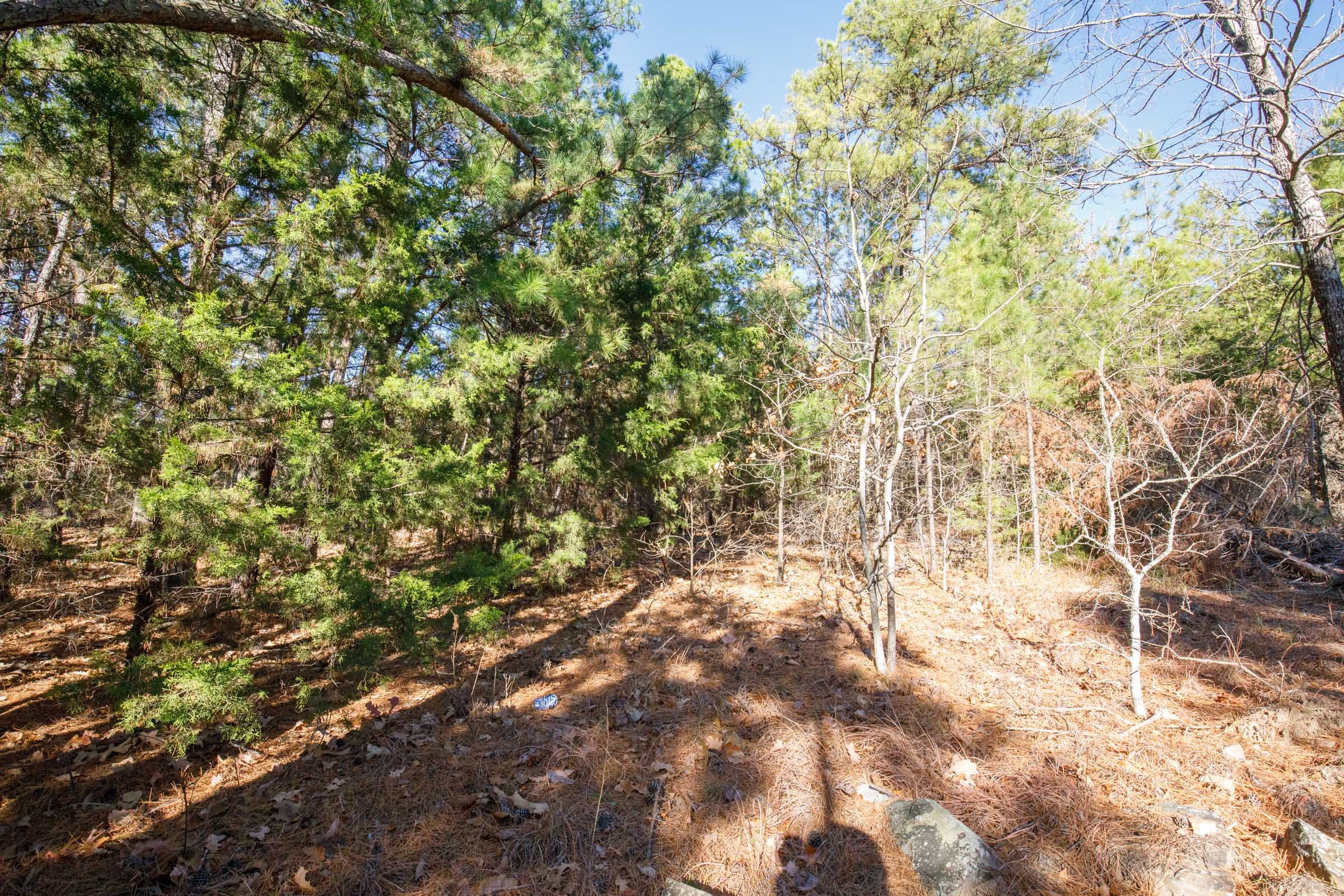 Stone Bridge Phase II Tract 105 photo 2