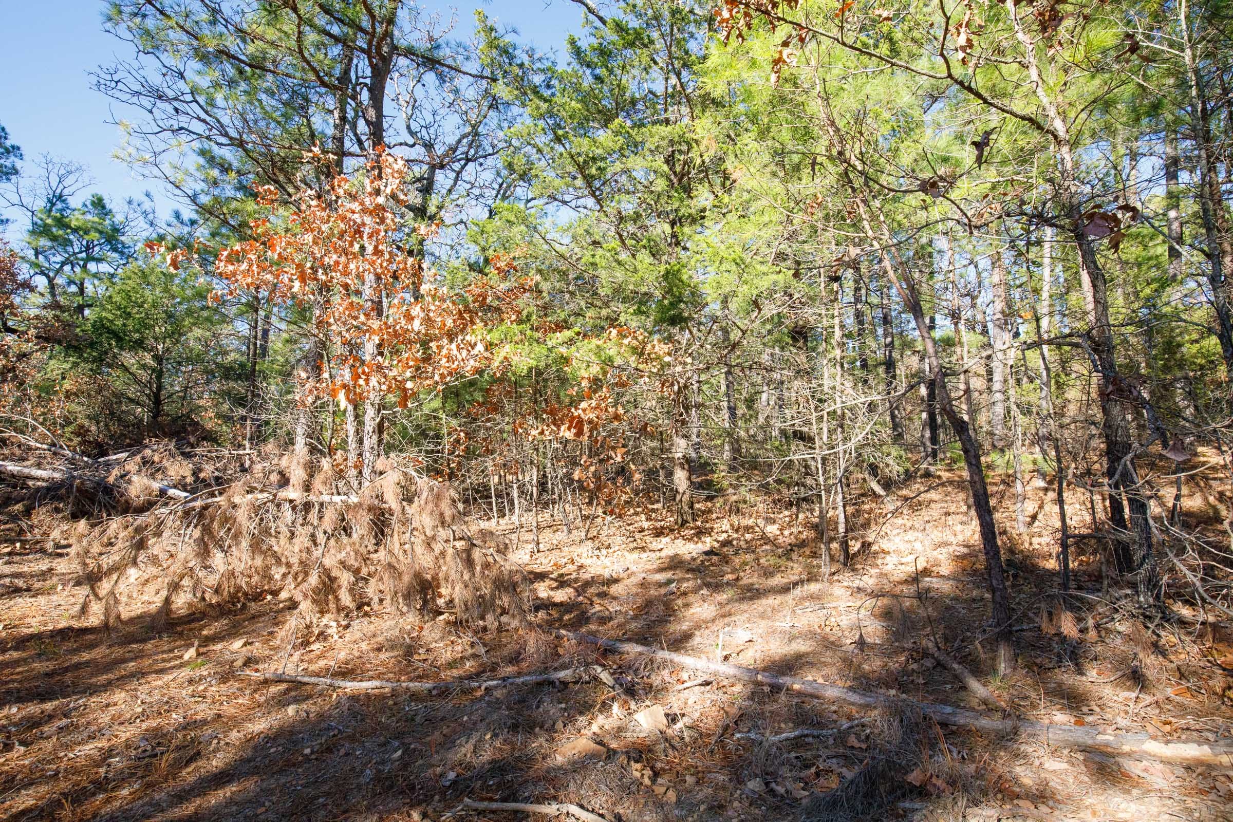 Stone Bridge Phase II Tract 105 photo 4