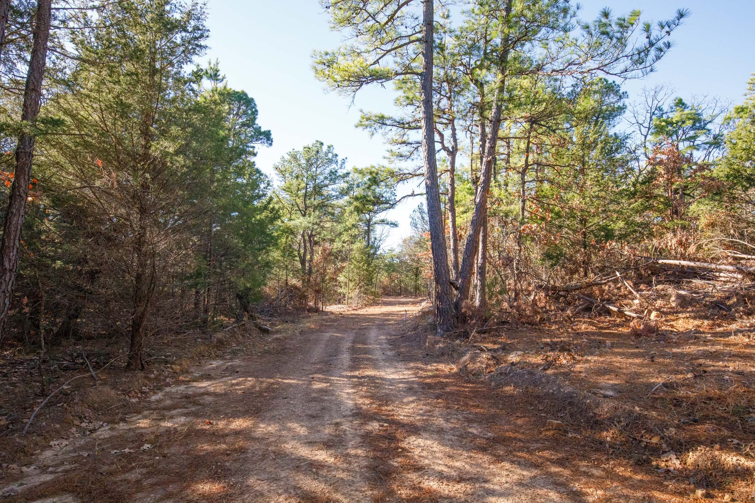Stone Bridge Phase II Tract 105 photo 5