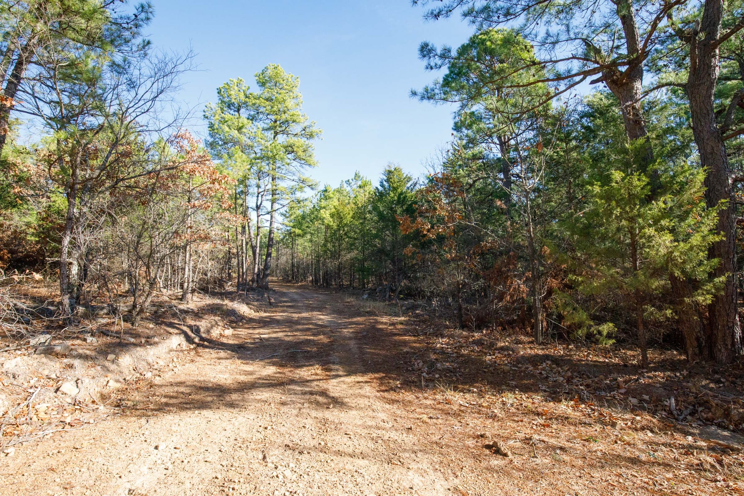 Stone Bridge Phase II Tract 105 photo 6