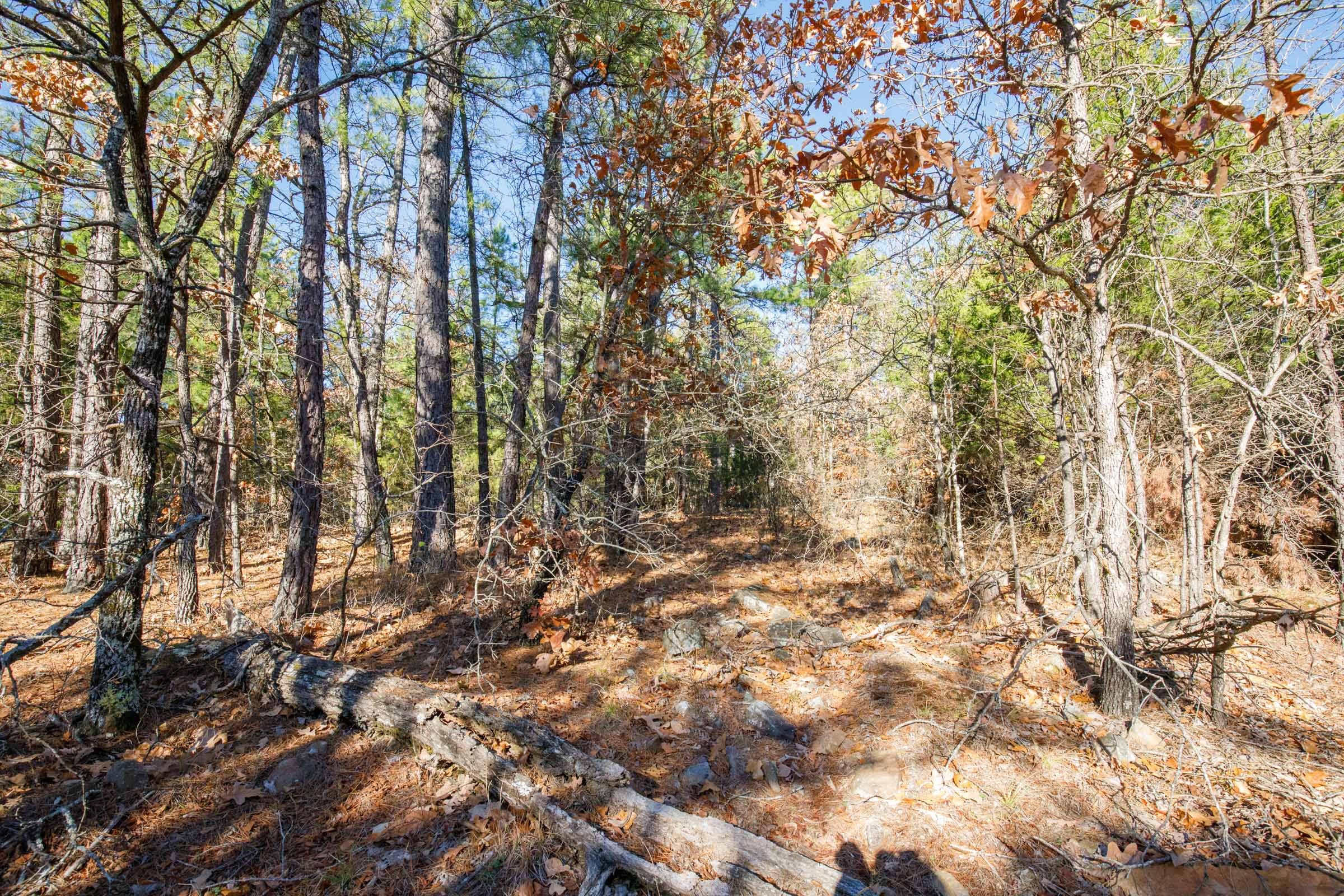 Stone Bridge Phase II Tract 105 photo 7