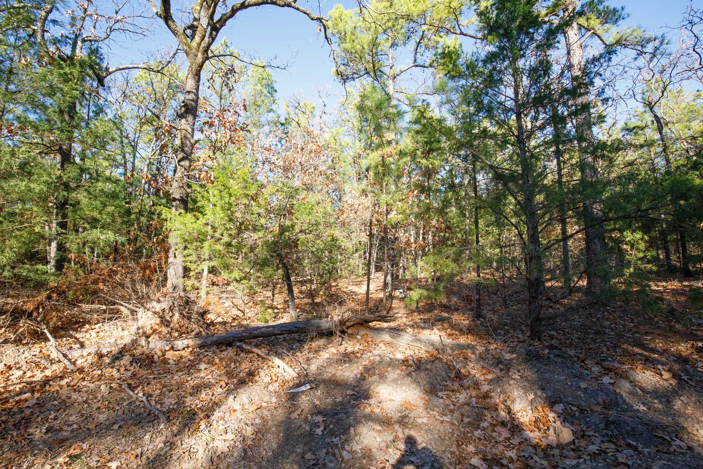 Stone Bridge Phase II Tract 105 photo 10