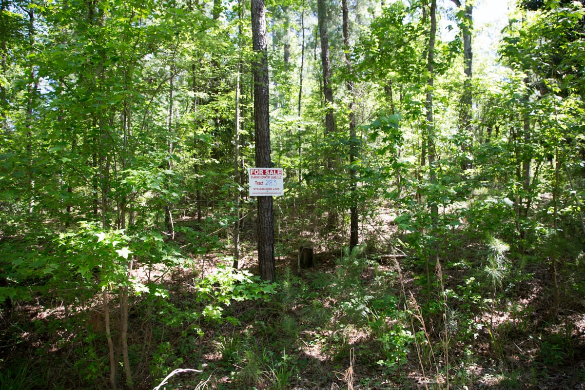 Rayburn Country Tract 283 photo 5