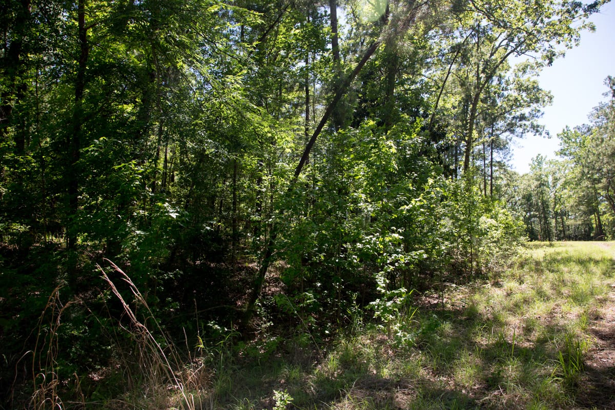 Rayburn Country Tract 283 photo 8