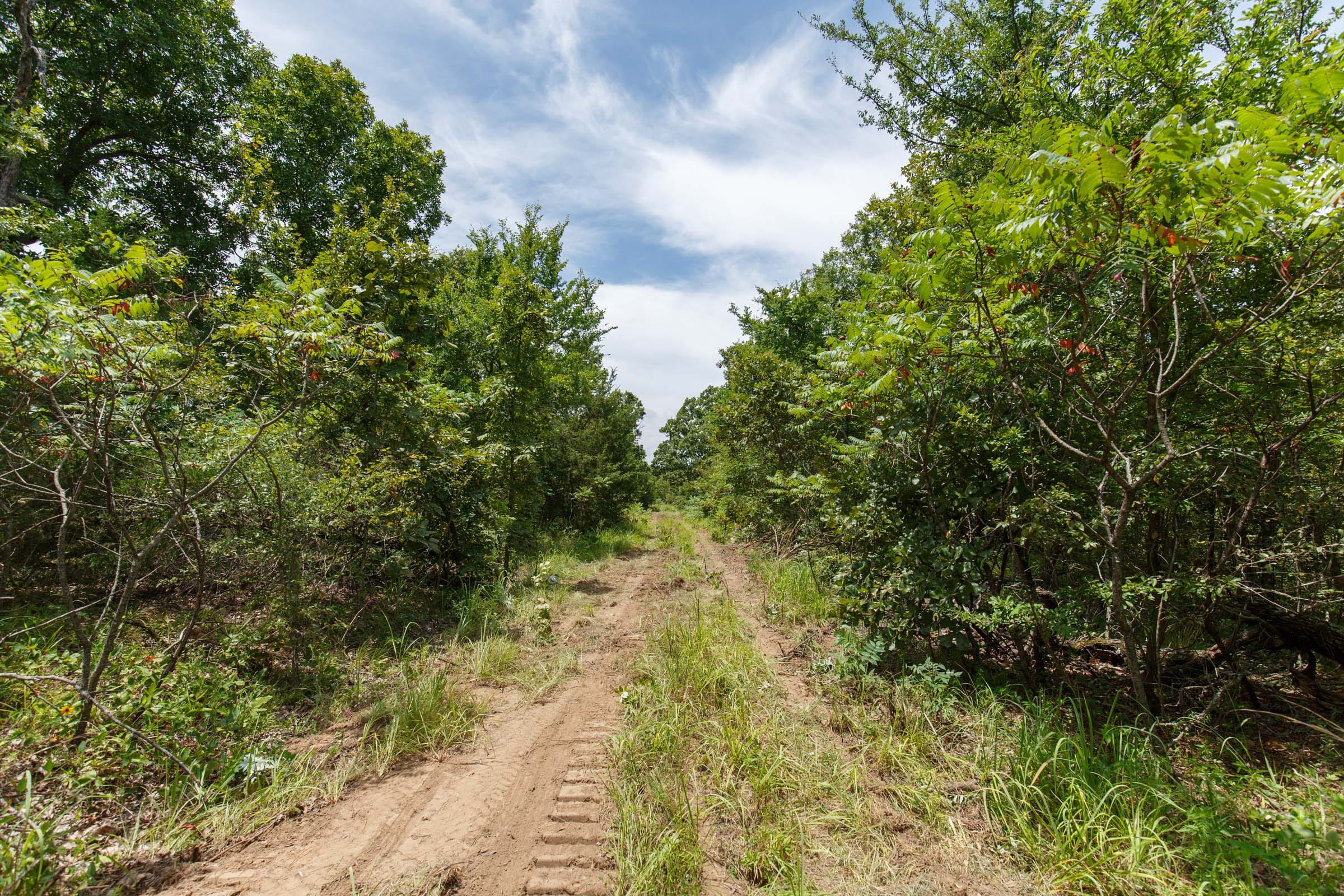 Timber Ridge Tract 15 photo 4
