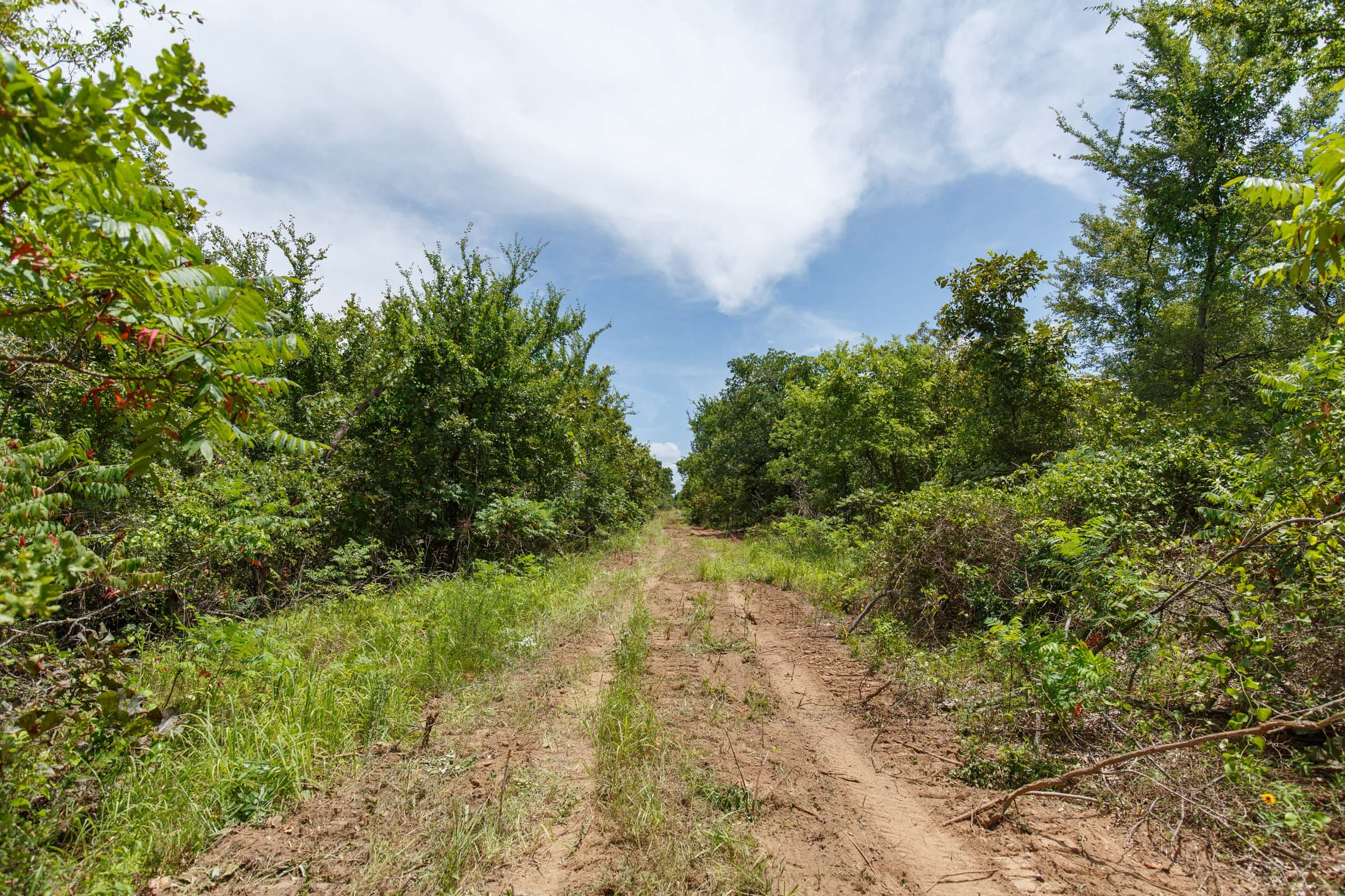 Timber Ridge Tract 15 photo 1