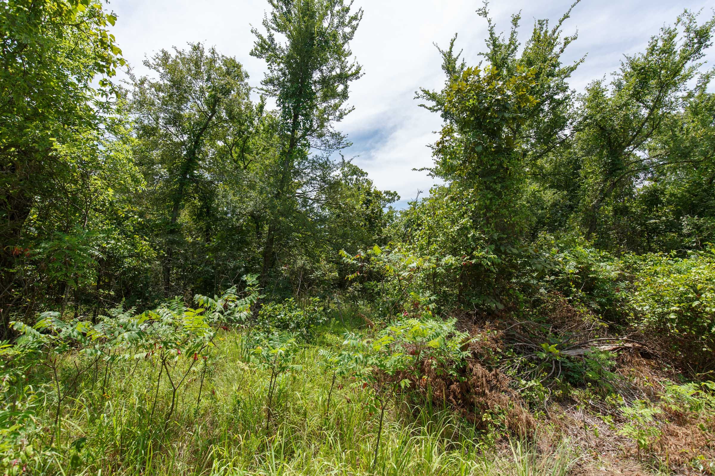 Timber Ridge Tract 15 photo 2