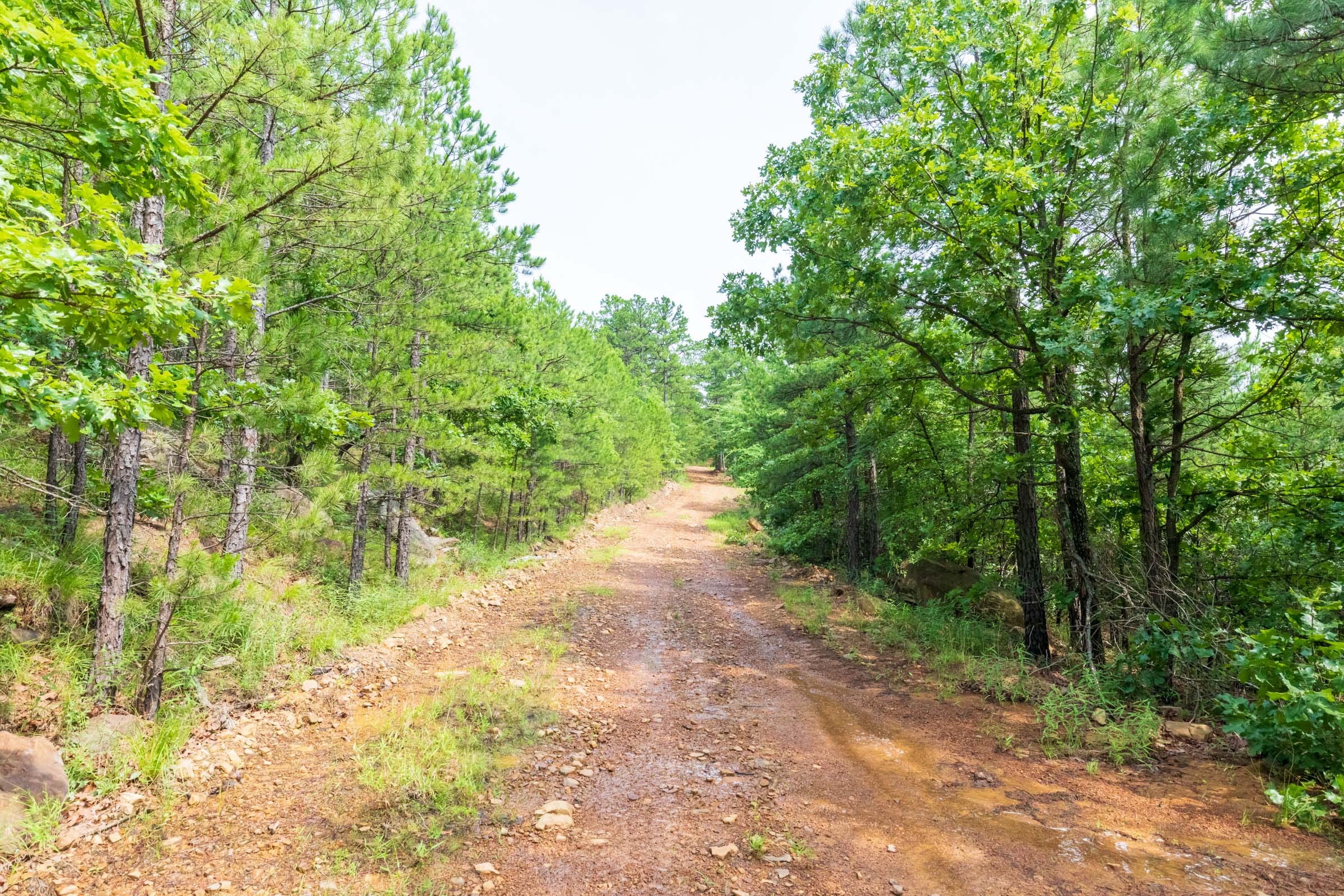 Stone Bridge Phase VI Tract 435 photo 1