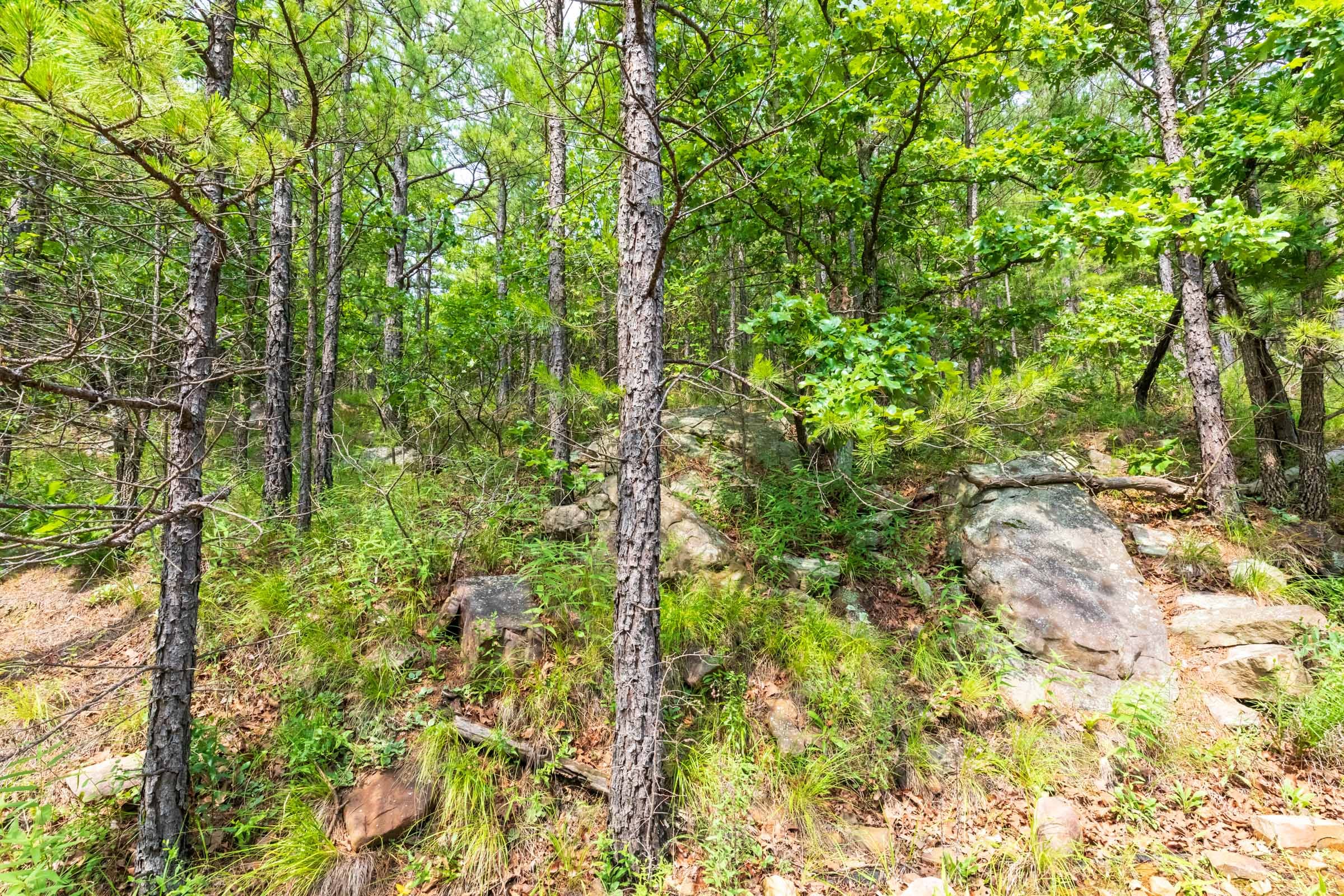 Stone Bridge Phase VI Tract 435 photo 4
