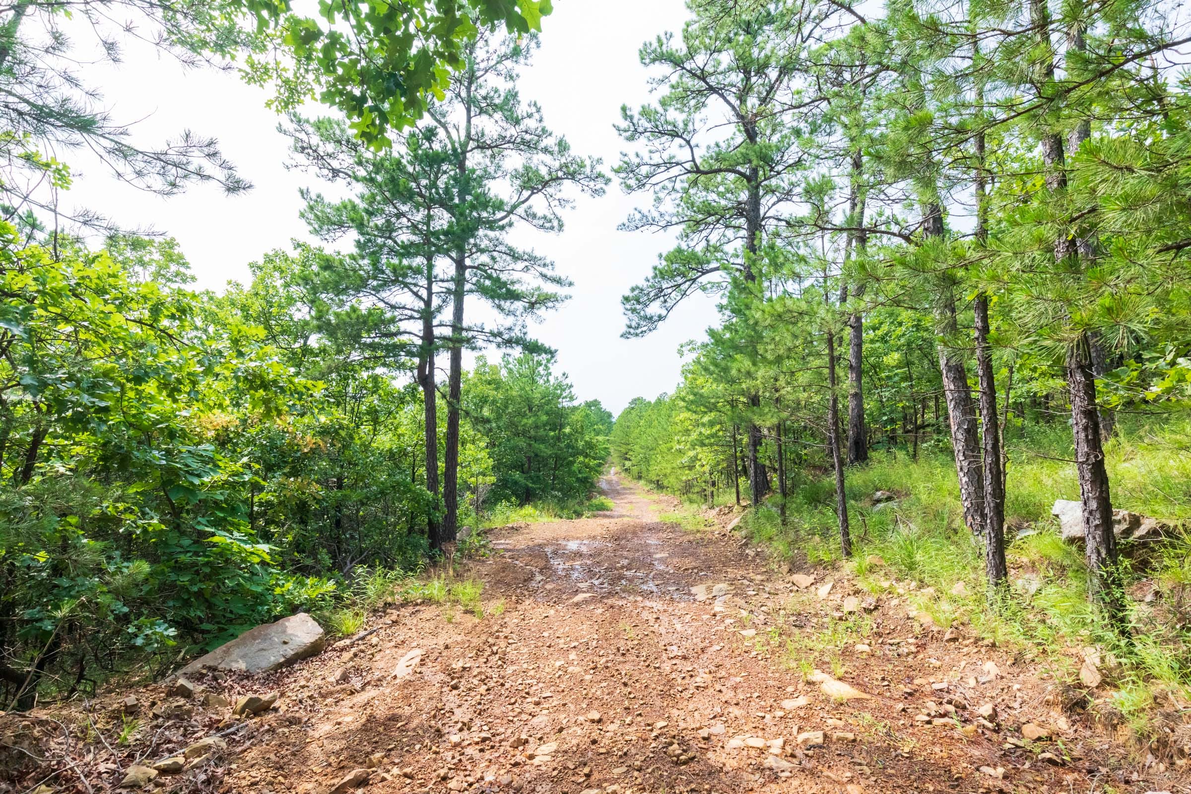 Stone Bridge Phase VI Tract 435 photo 9