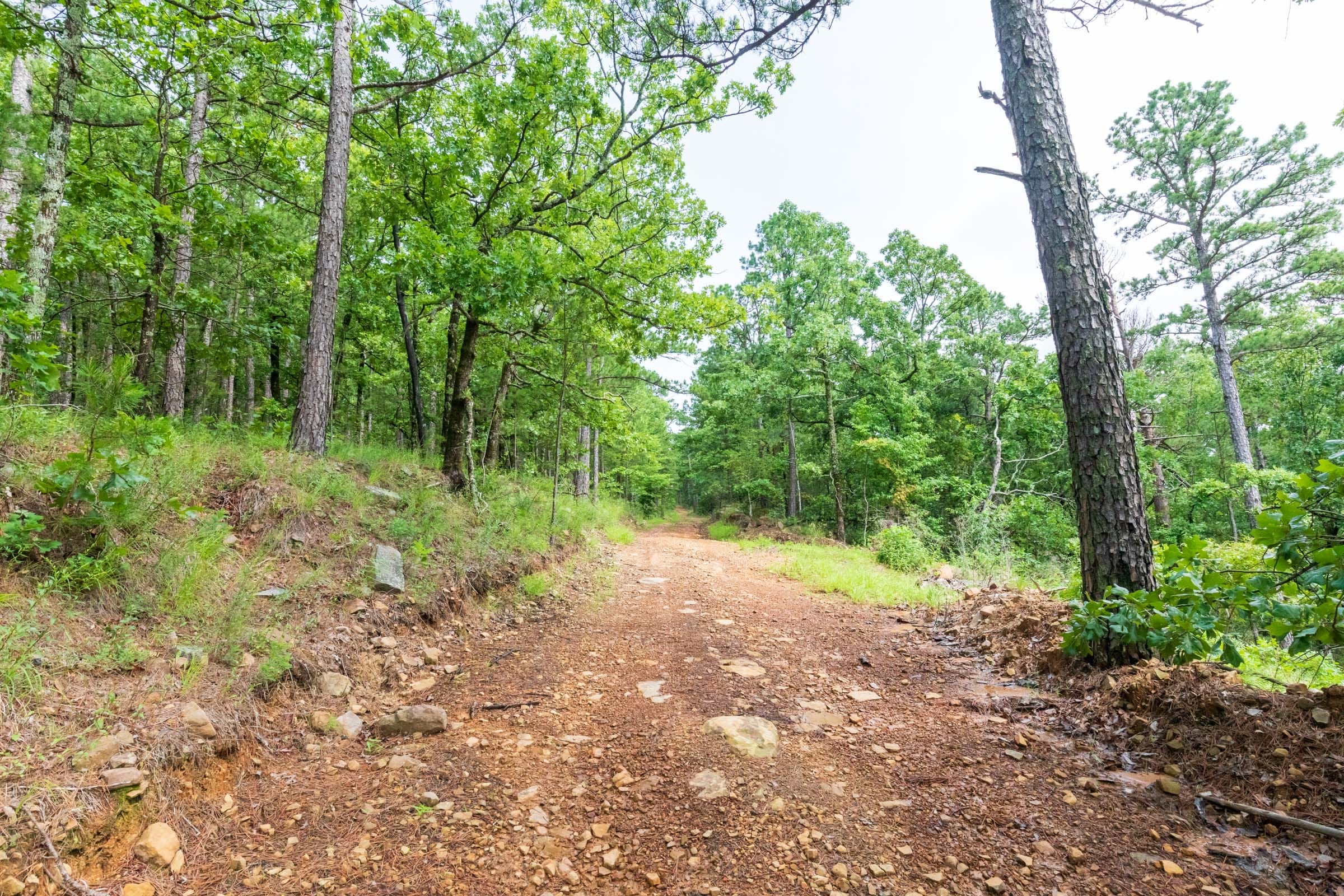 Stone Bridge Phase VI Tract 435 photo 6