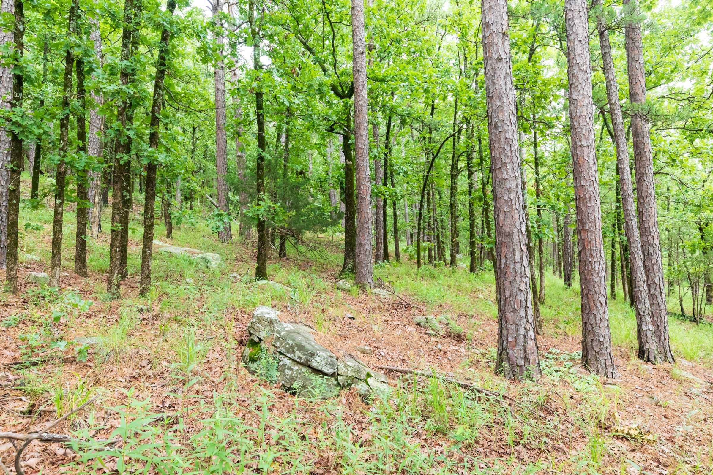 Stone Bridge Phase VI Tract 435 photo 8