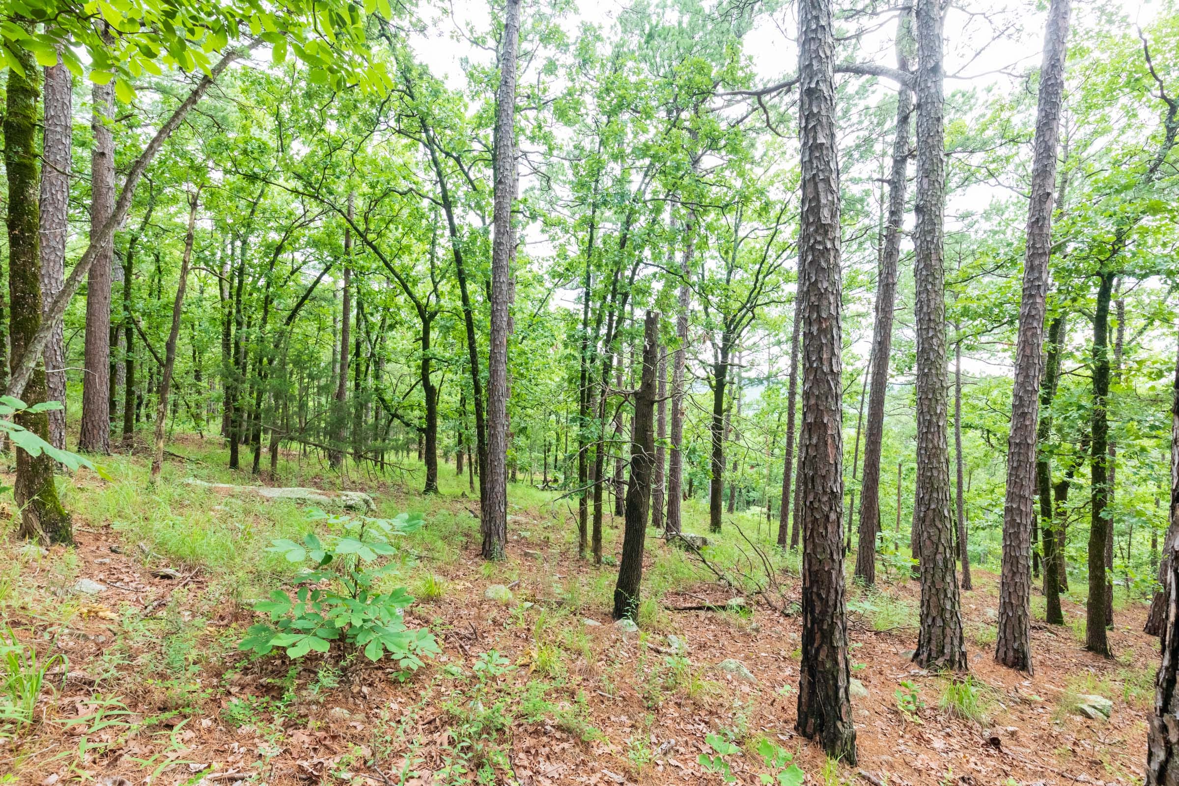 Stone Bridge Phase VI Tract 435 photo 11