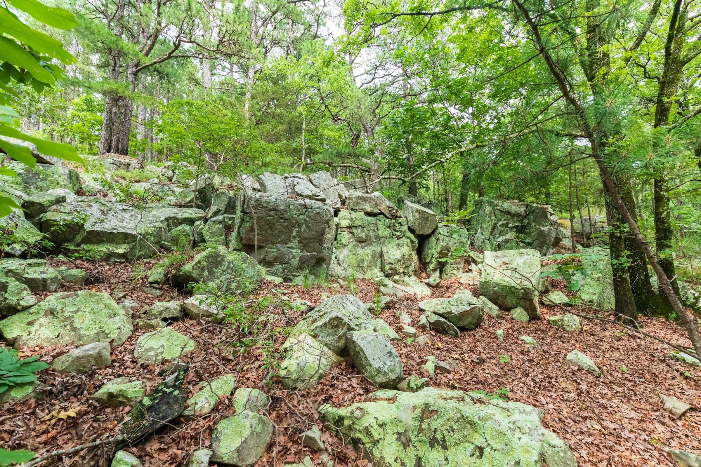Stone Bridge Phase VI Tract 435 photo 14