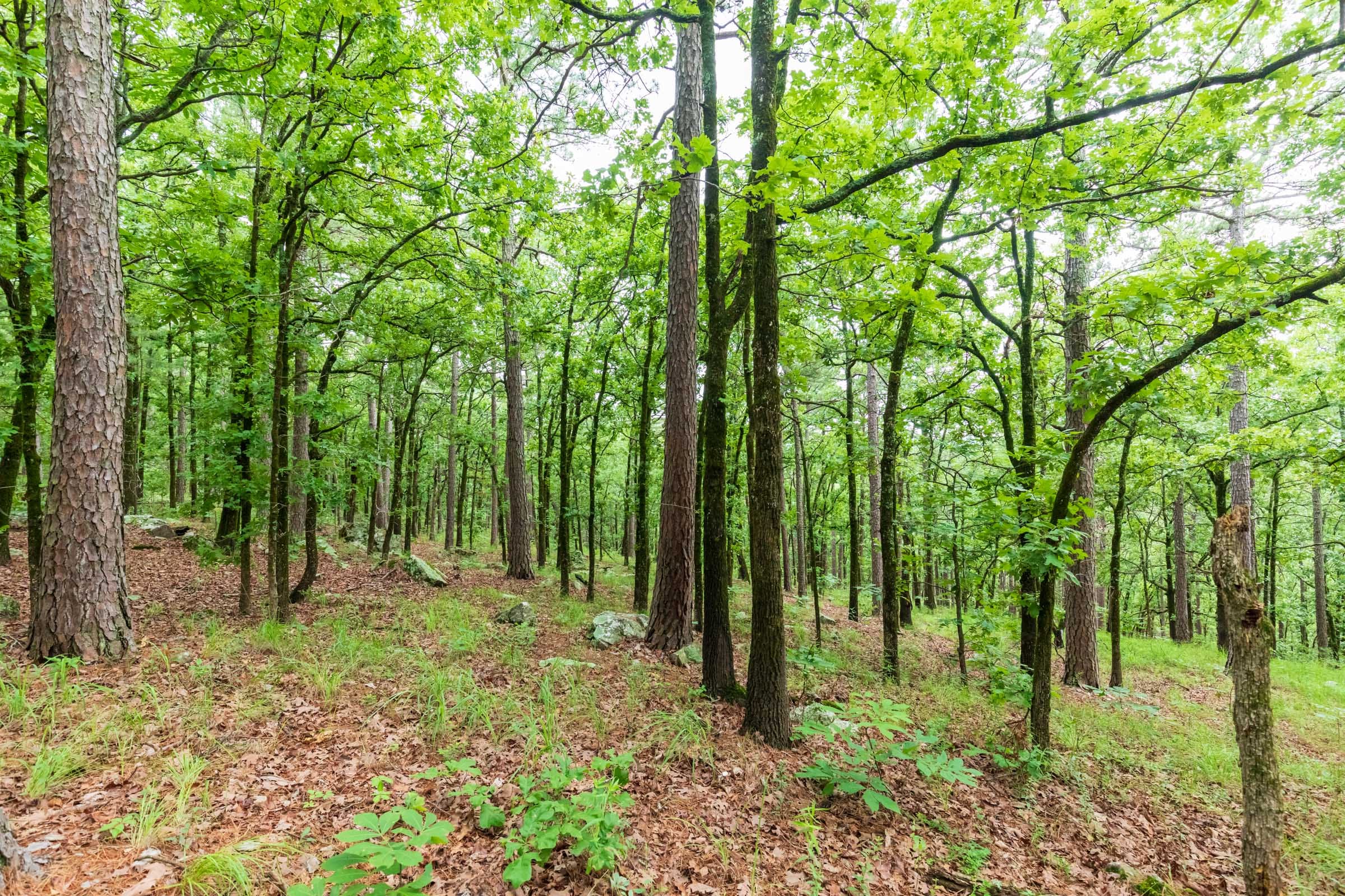 Stone Bridge Phase VI Tract 435 photo 13