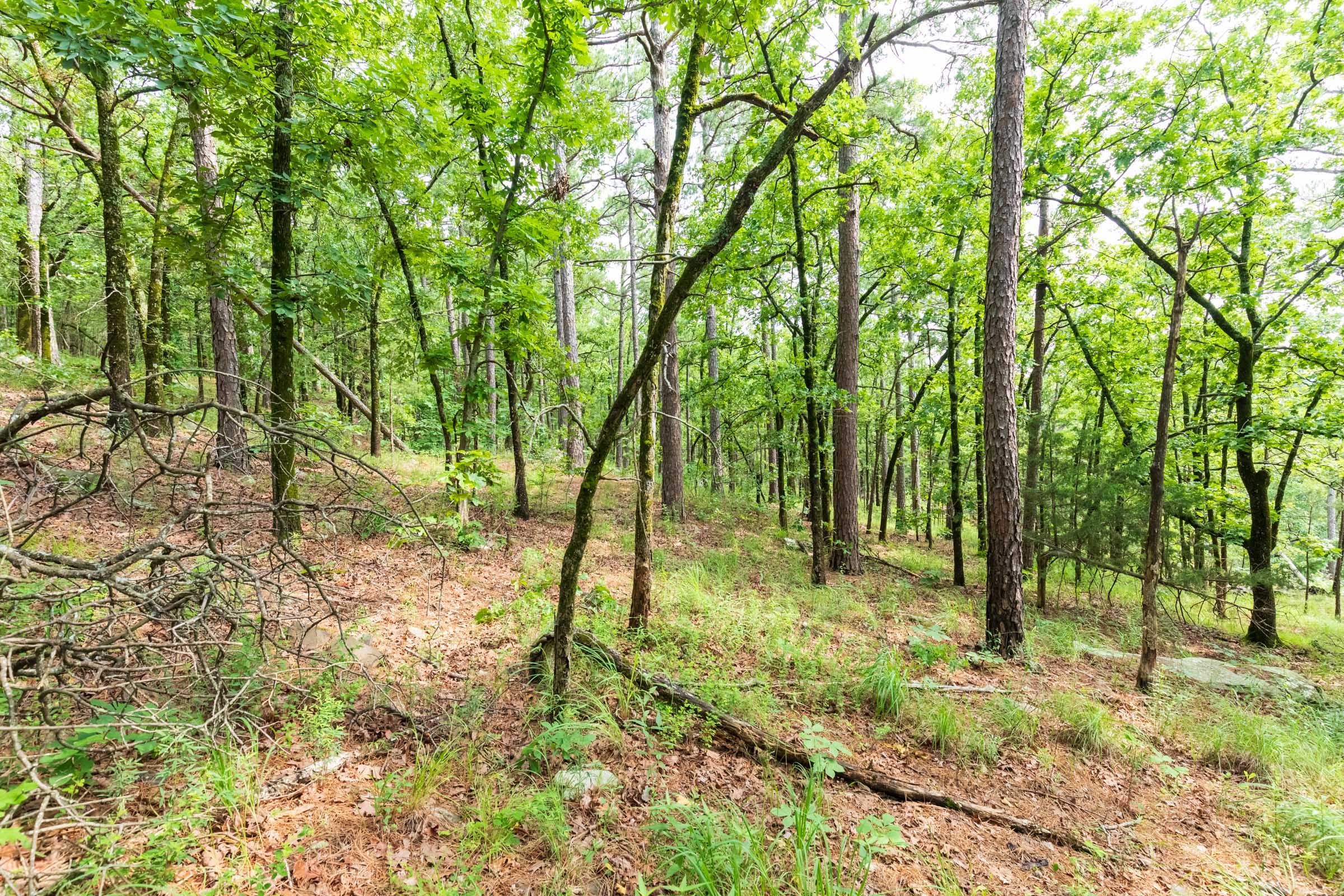 Stone Bridge Phase VI Tract 435 photo 17