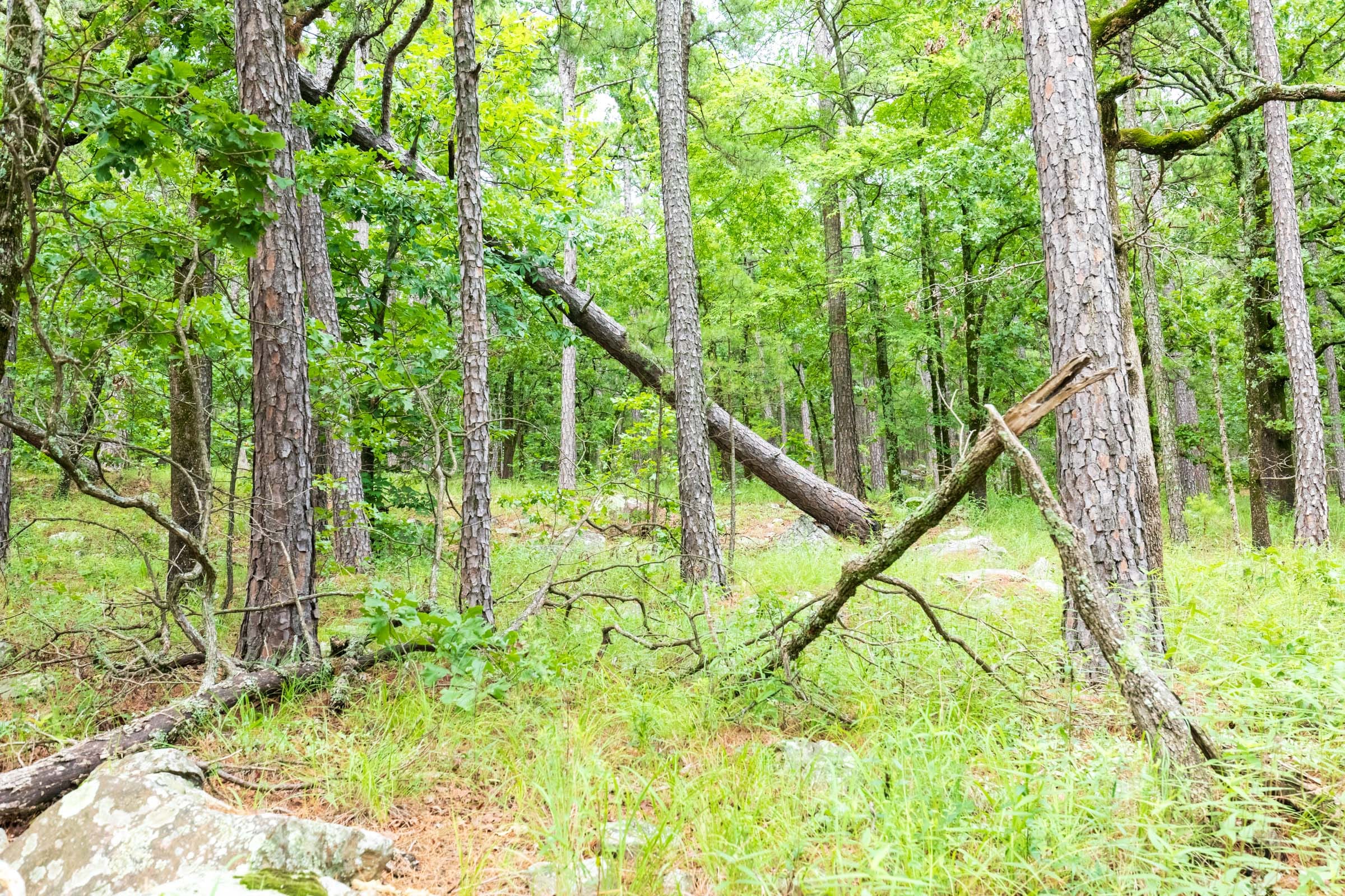 Stone Bridge Phase VI Tract 435 photo 18