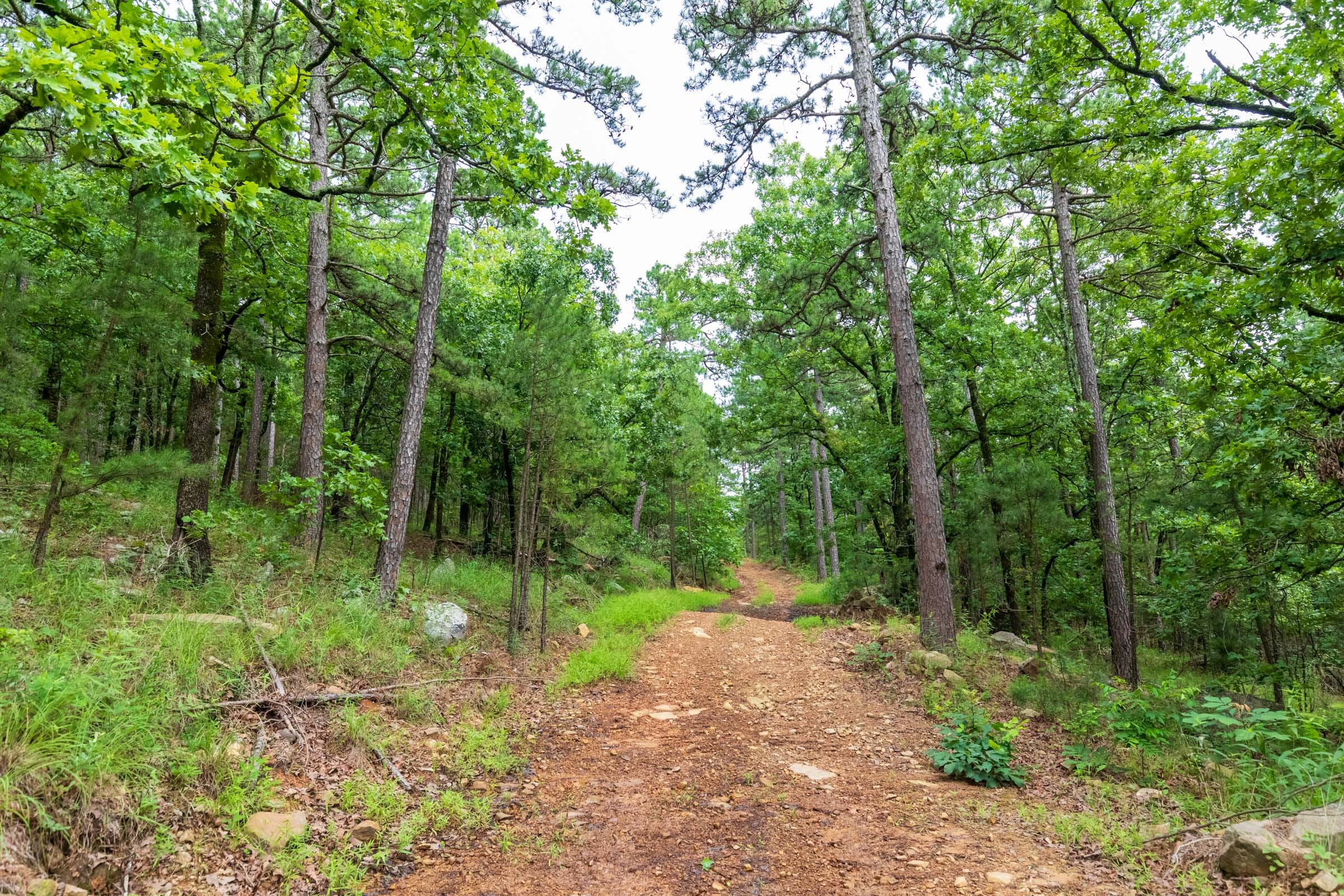 Stone Bridge Phase VI Tract 435 photo 15