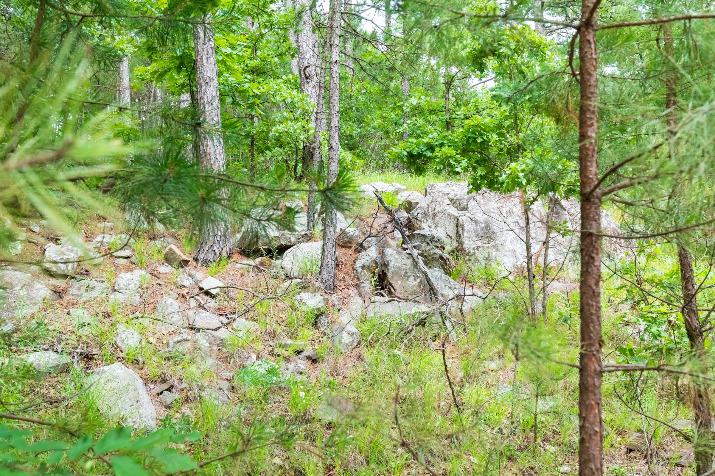Stone Bridge Phase VI Tract 435 photo 20
