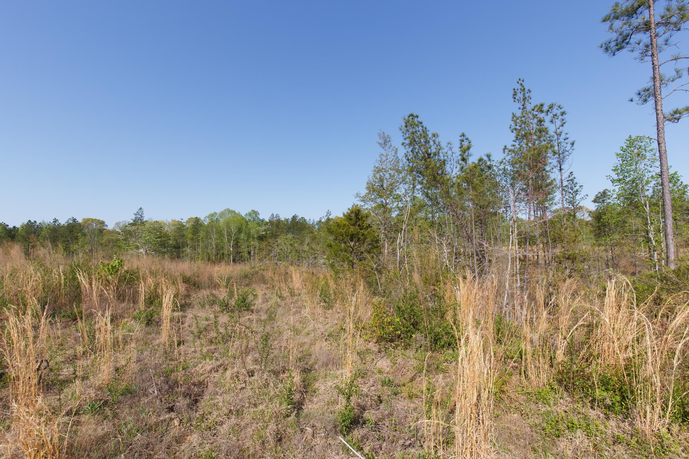 Twin Rivers Tract 1 photo 3