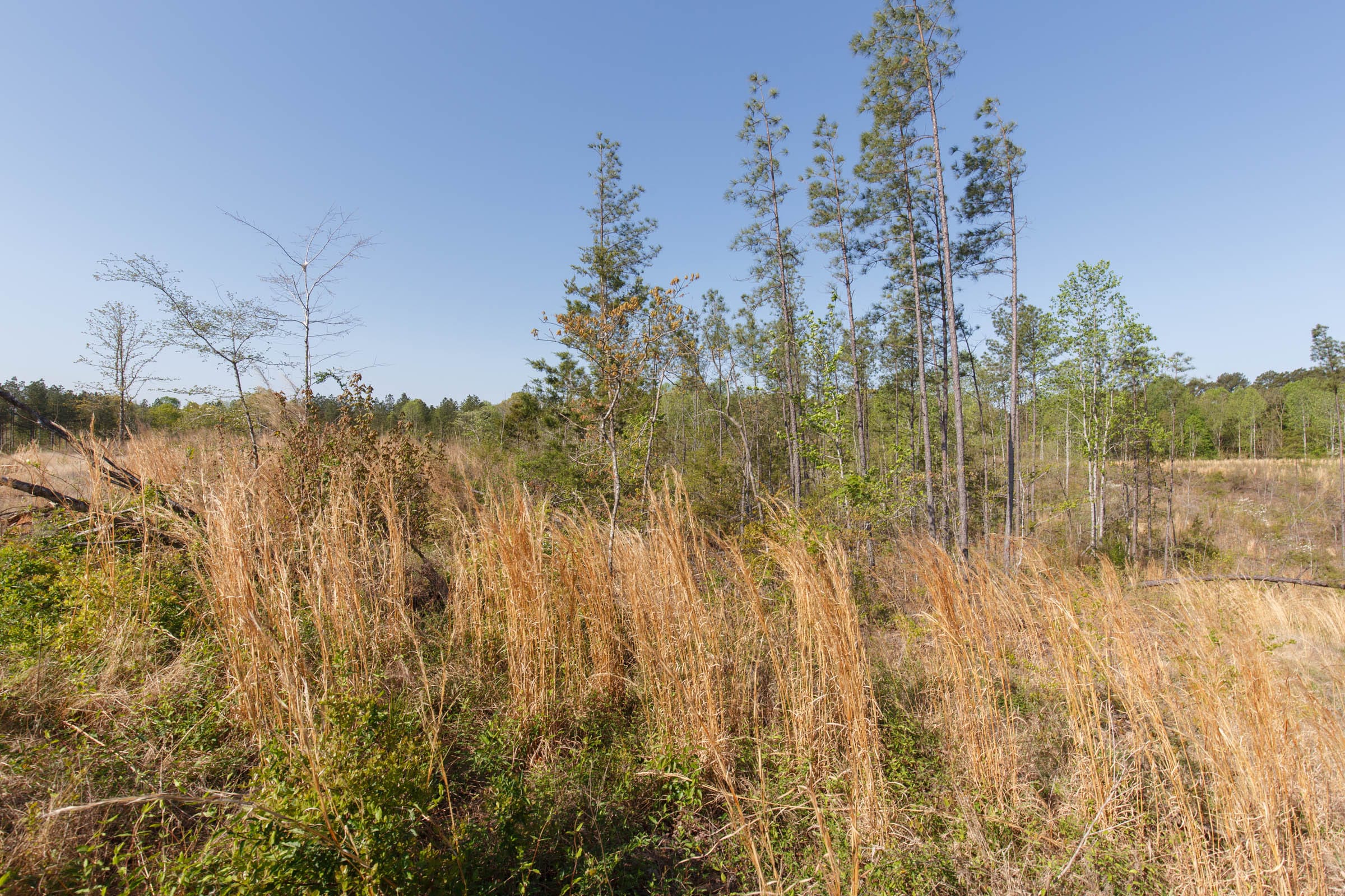 Twin Rivers Tract 1 photo 6