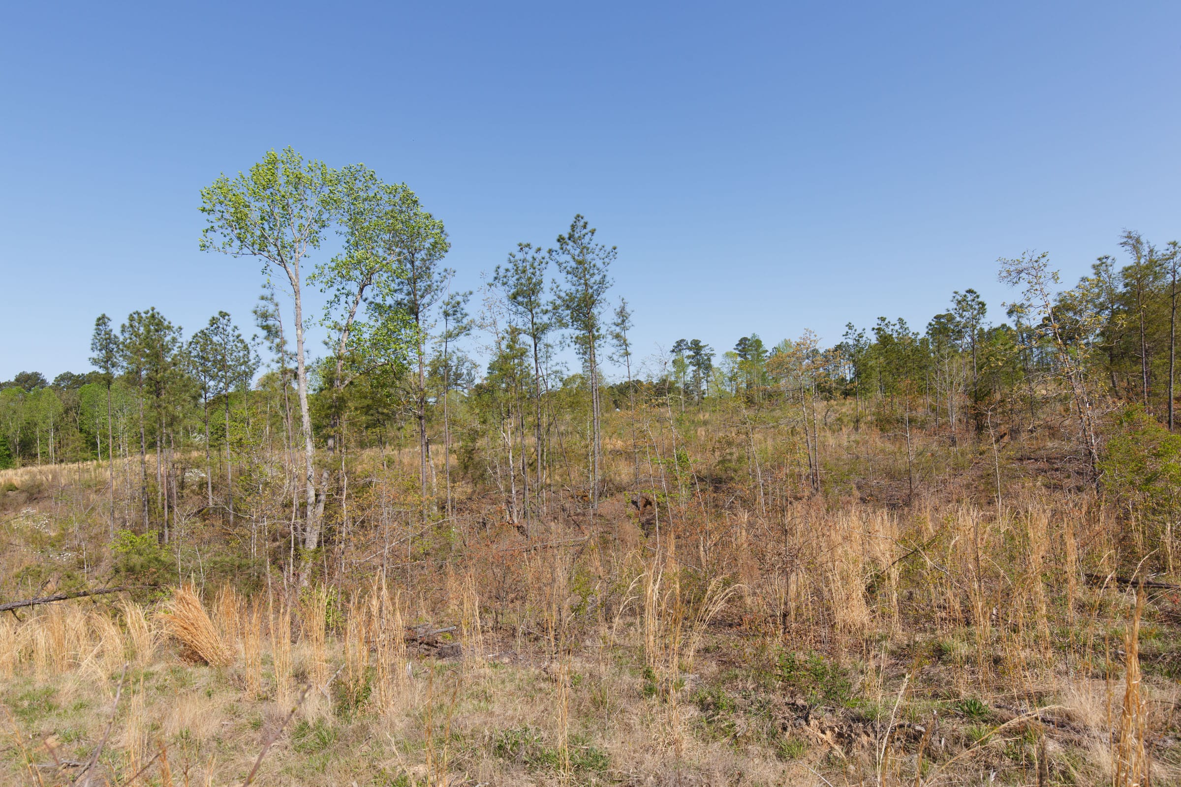 Twin Rivers Tract 1 photo 9