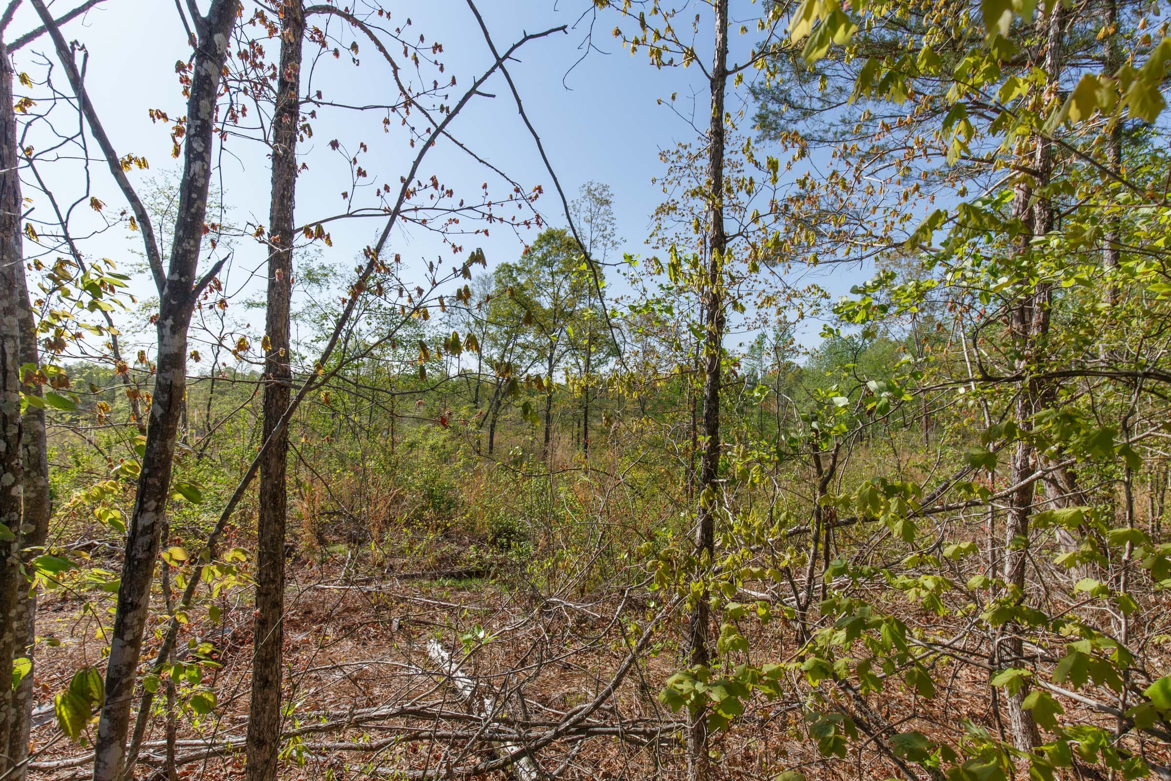 Twin Rivers Tract 1 photo 10