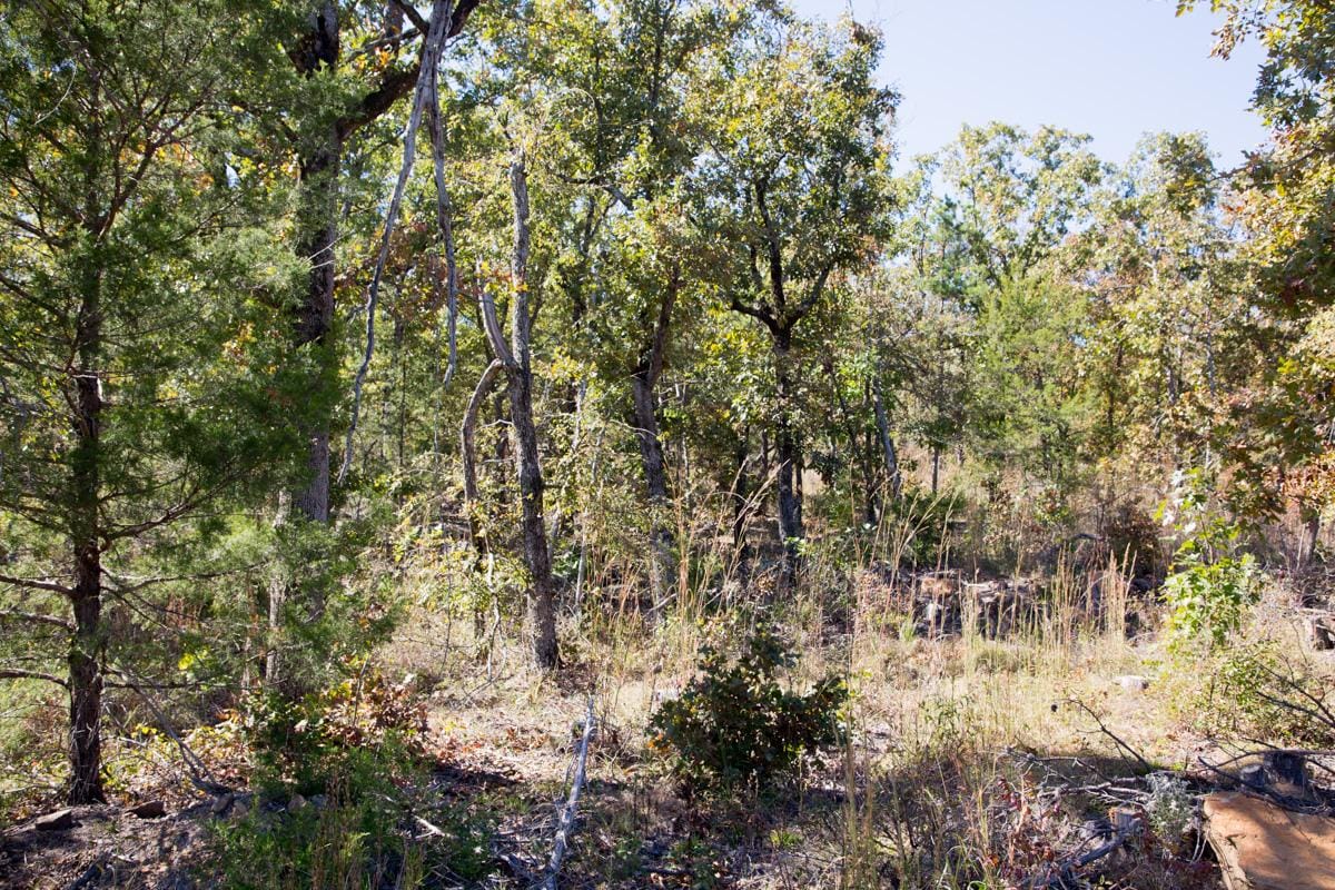 Stone Creek Phase I Tract 147 photo 3