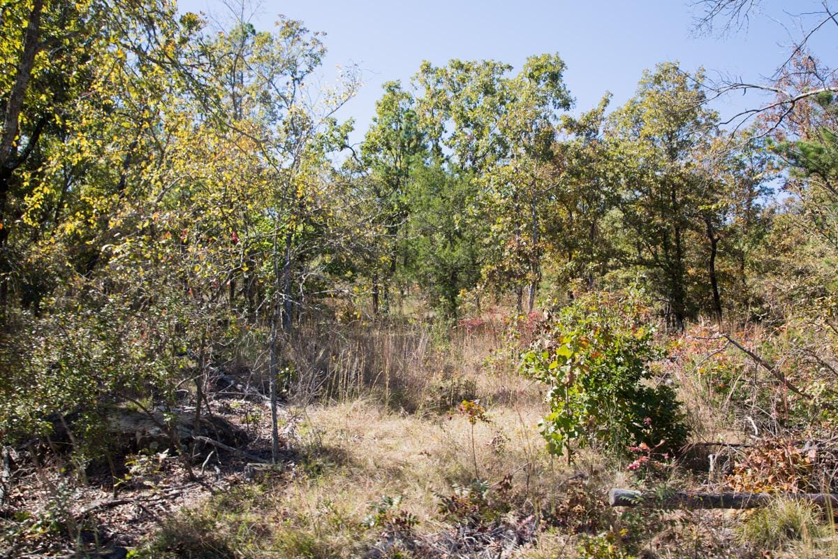 Stone Creek Phase I Tract 147 photo 4