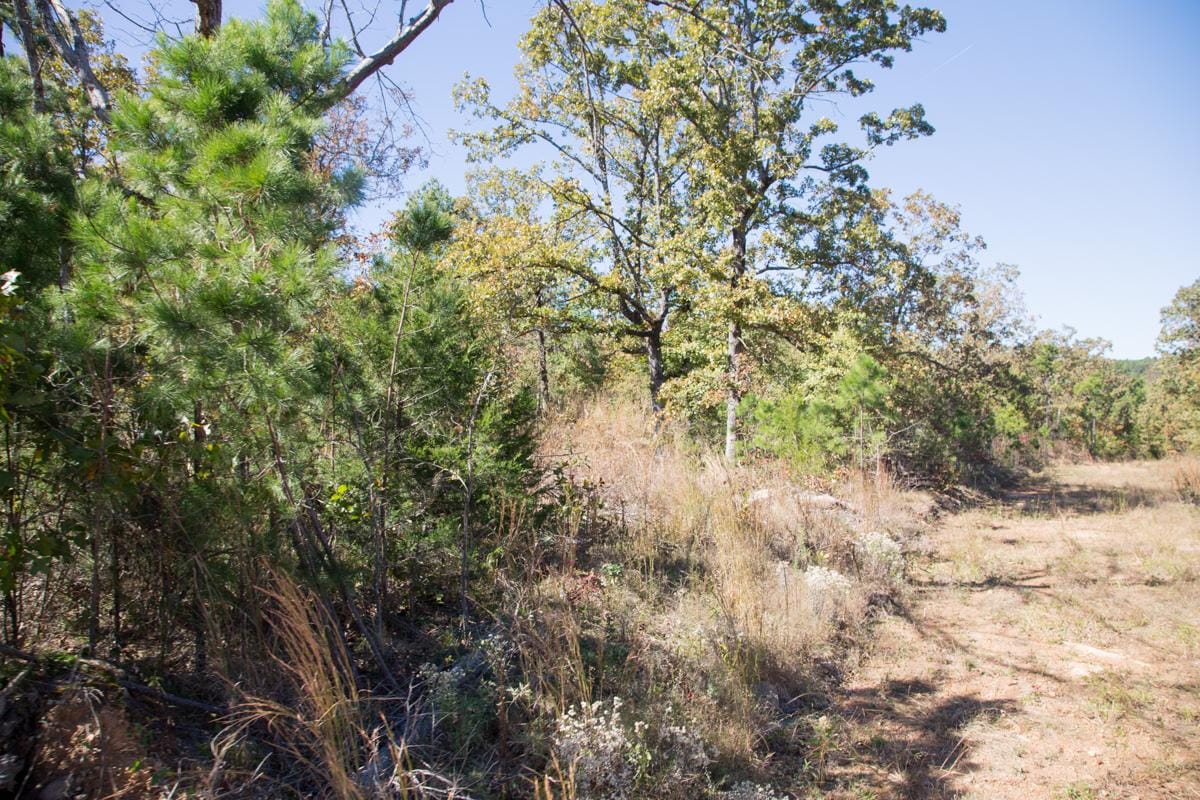 Stone Creek Phase I Tract 147 photo 5