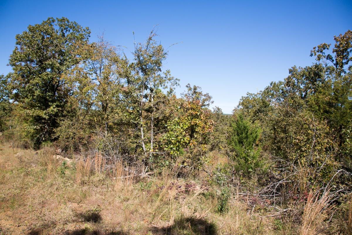 Stone Creek Phase I Tract 147 photo 7