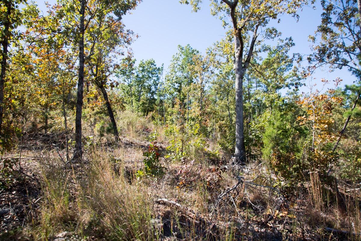 Stone Creek Phase I Tract 147 photo 9
