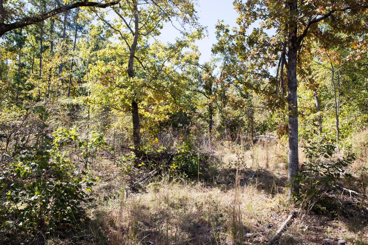 Stone Creek Phase I Tract 147 photo 10