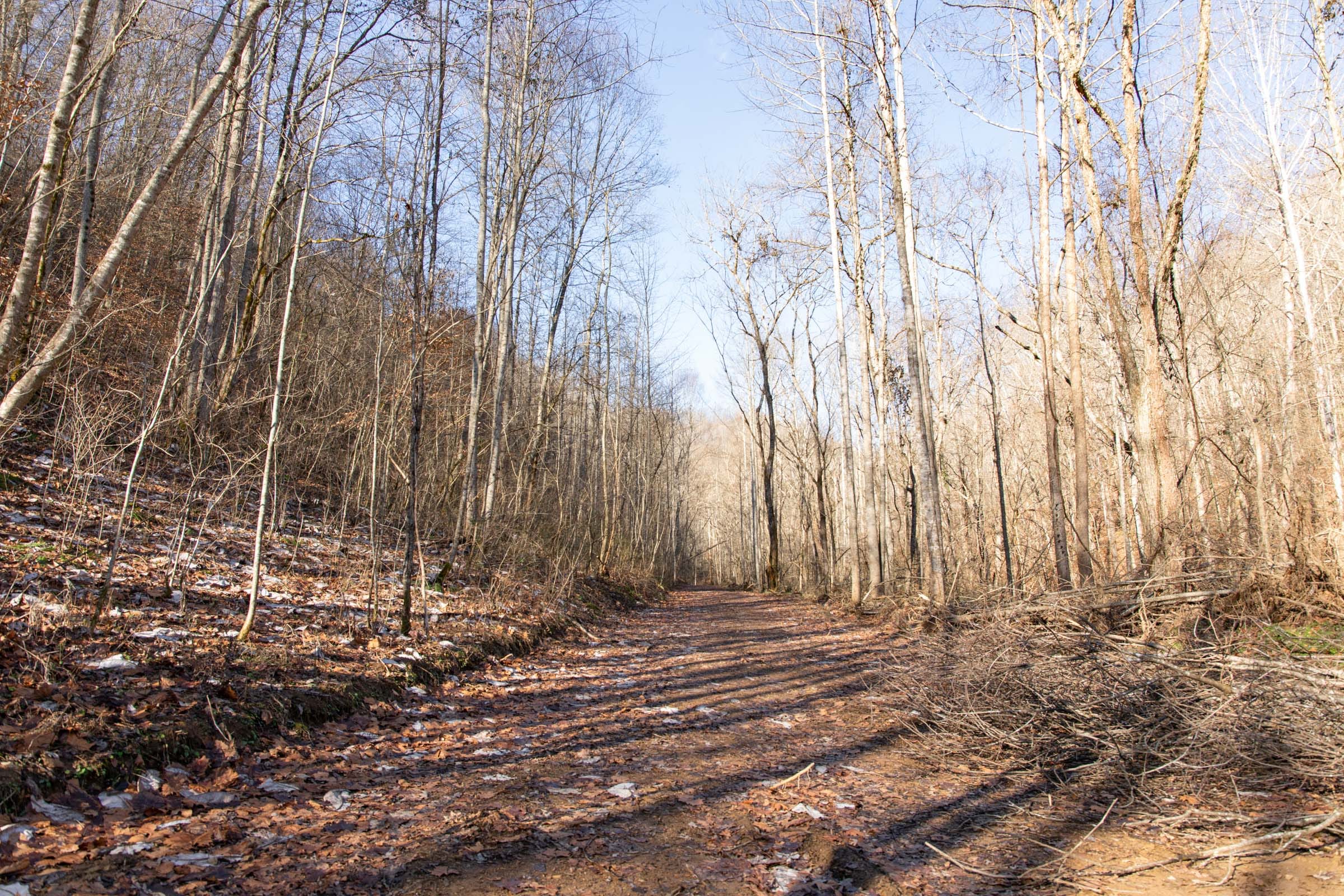 Blackstone Mountain Phase I Tract 8 photo 6