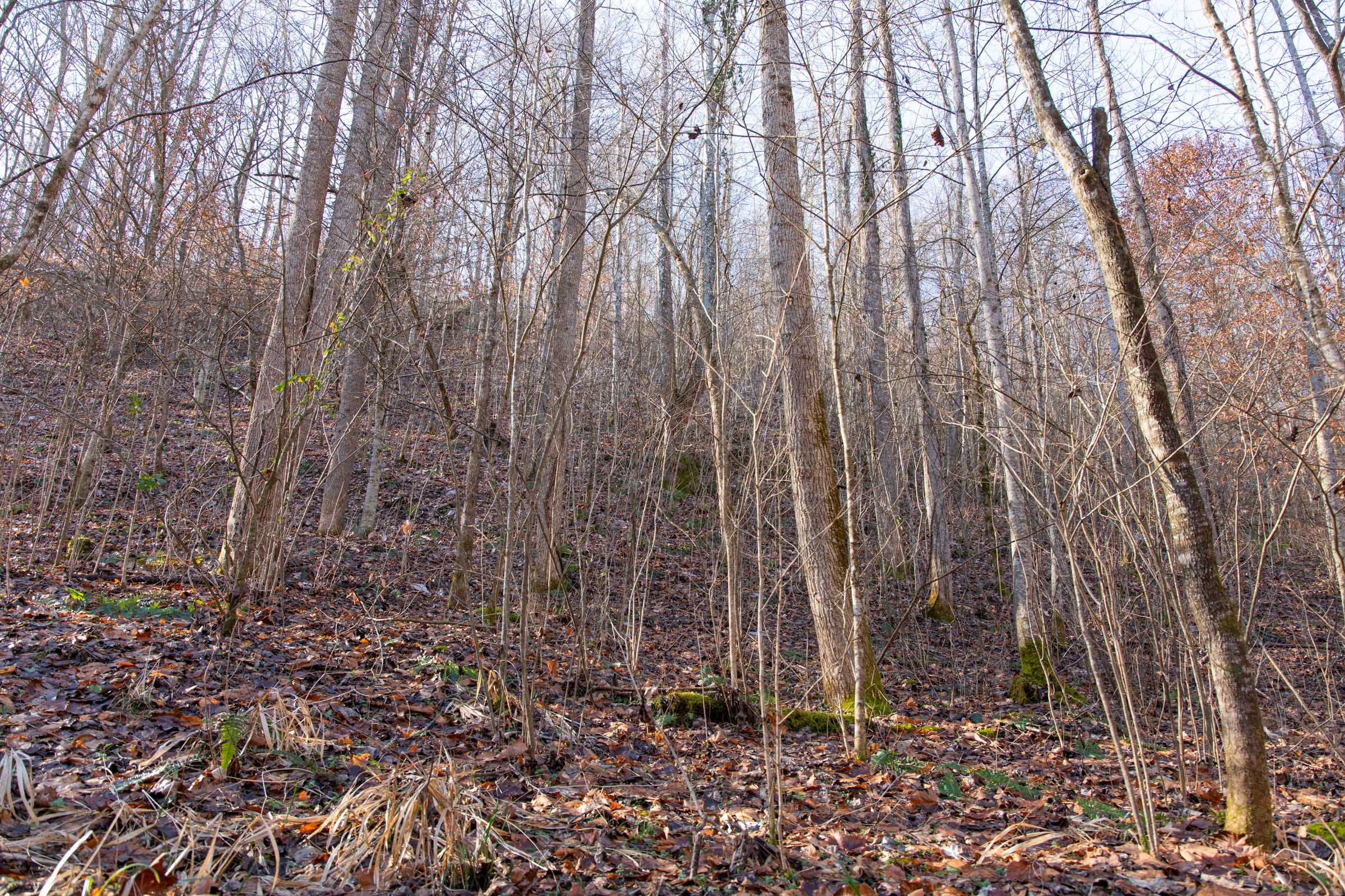 Blackstone Mountain Phase I Tract 8 photo 5
