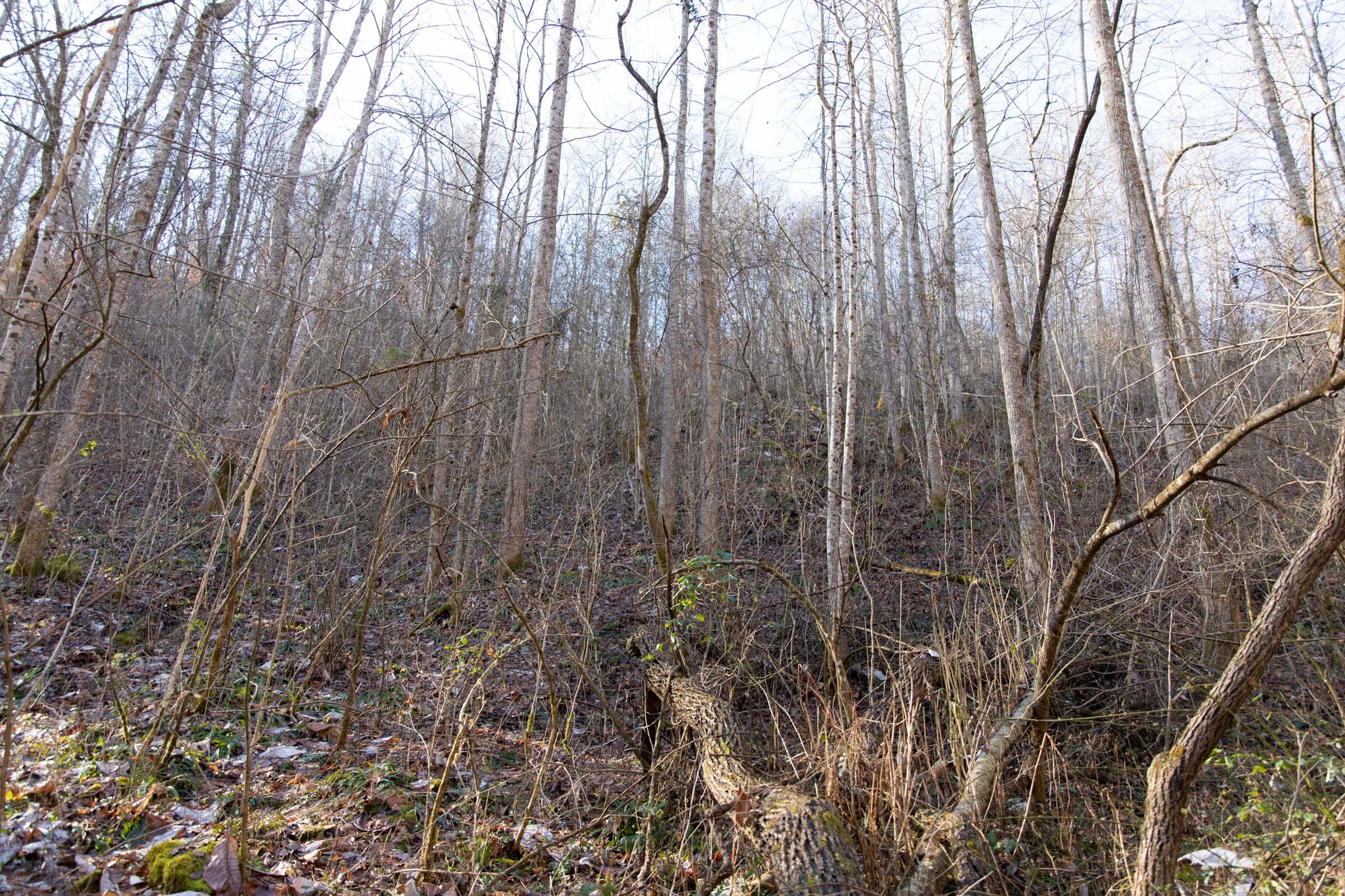 Blackstone Mountain Phase I Tract 8 photo 11